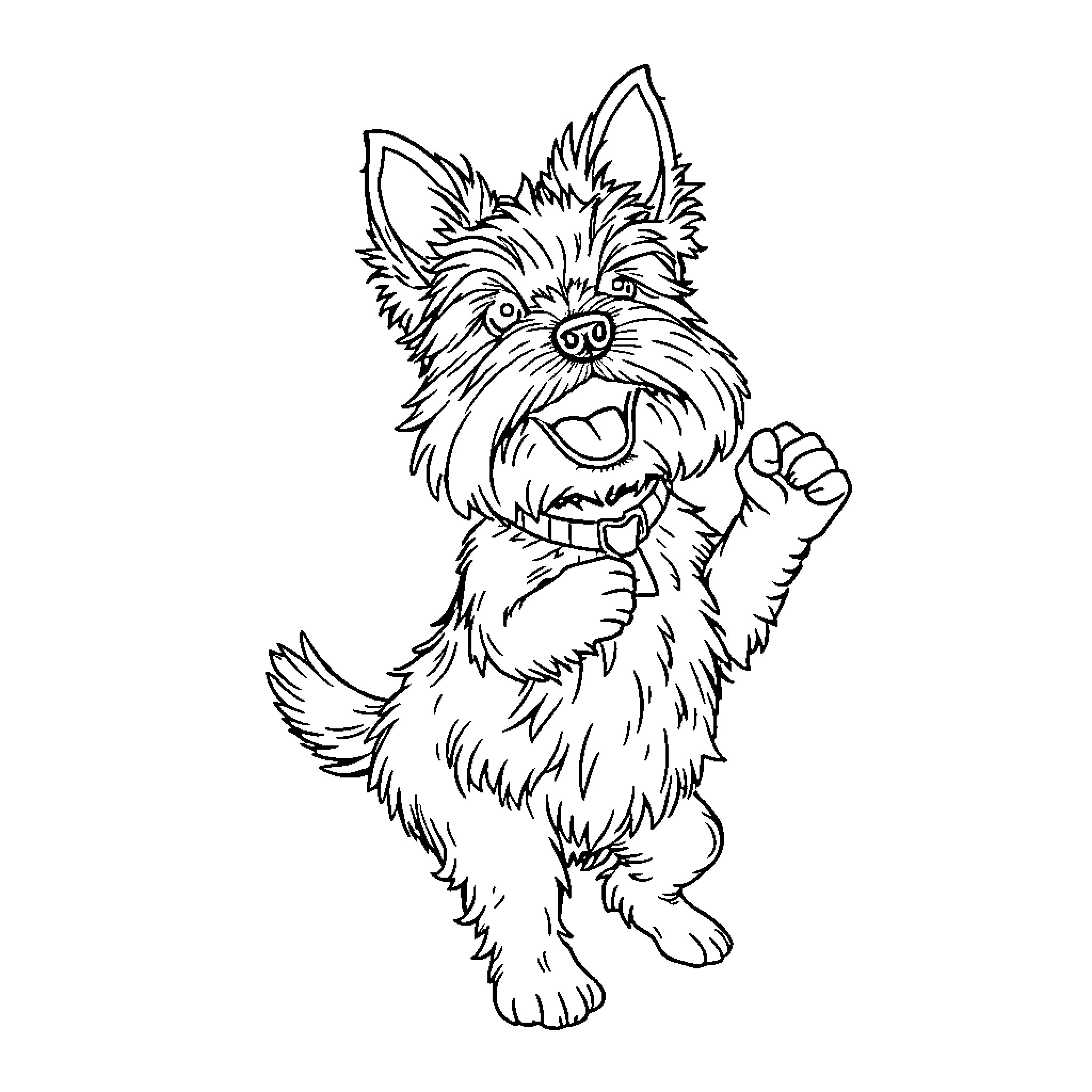 Yorkie puppy in playful pose Coloring Page (free black-and-white line drawing printable PDF for all, from beginners to advanced learners, including children, teens, adults, and seniors)