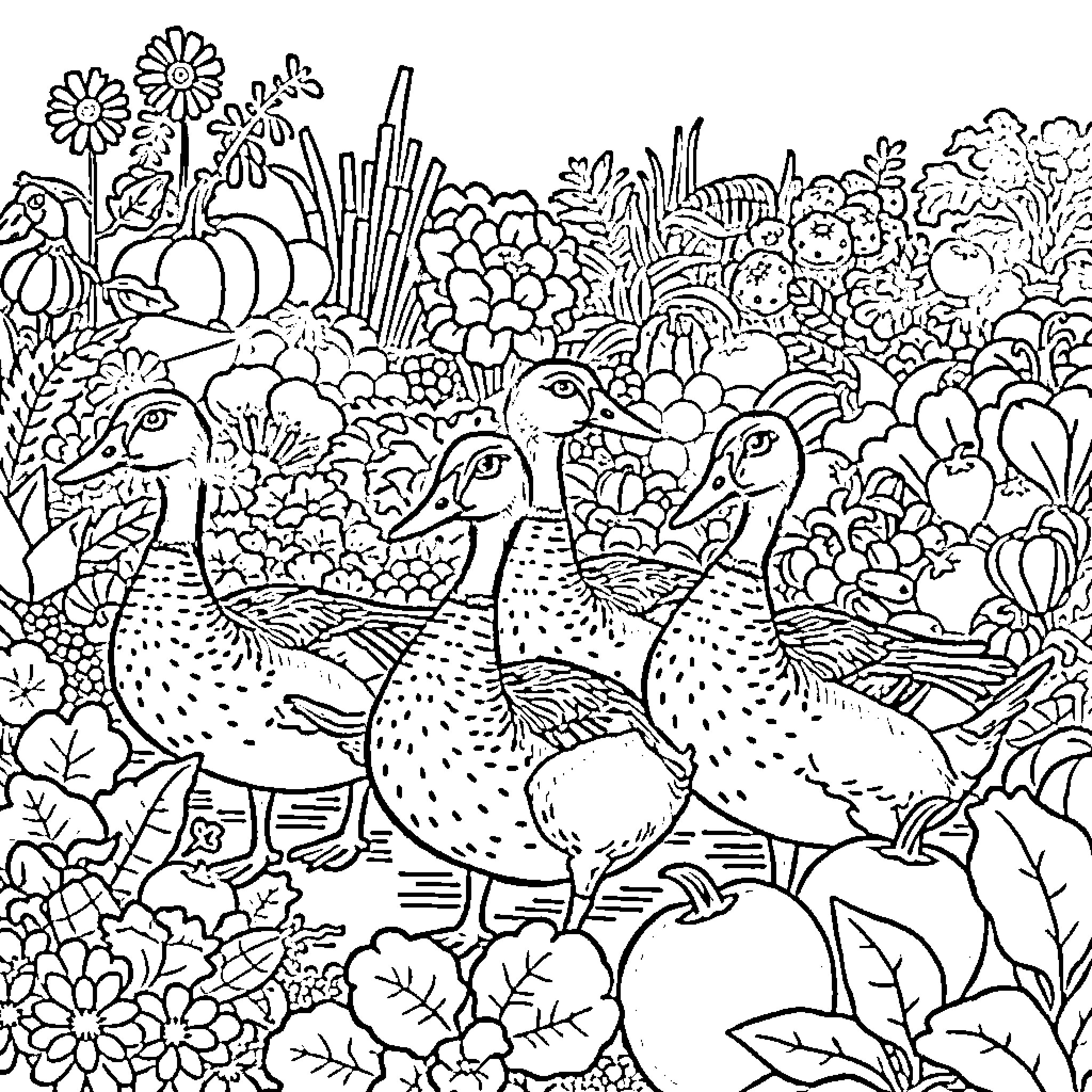 Duck strolling through a vibrant garden Coloring Page (free black-and-white line drawing printable PDF for all, from beginners to advanced learners, including children, teens, adults, and seniors)