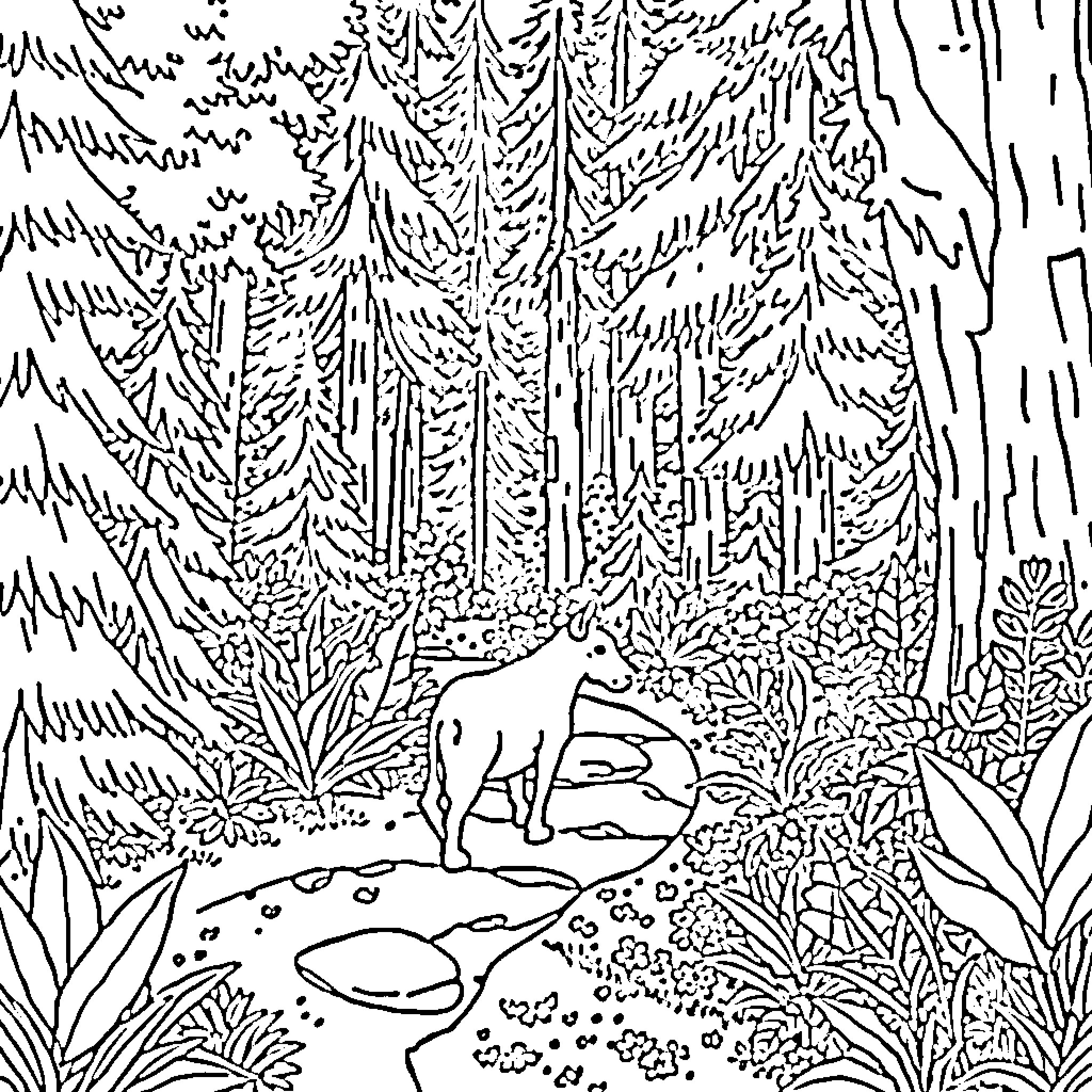 Herro Majestic Forest Scene with Wildlife Coloring Page (free black-and-white line drawing printable PDF for all, from beginners to advanced learners, including children, teens, adults, and seniors)