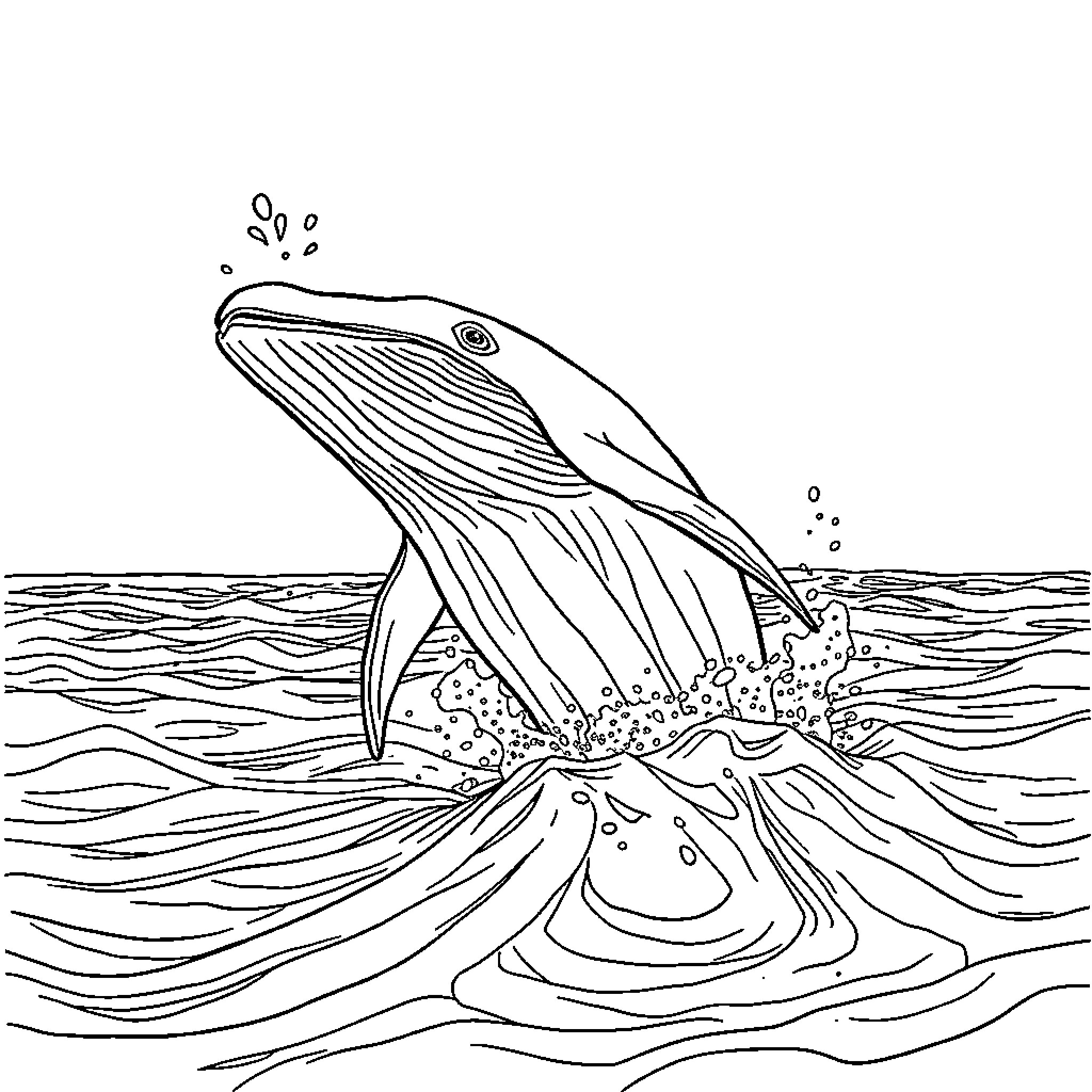 Whale breaching the ocean surface Coloring Page (free black-and-white line drawing printable PDF for all, from beginners to advanced learners, including children, teens, adults, and seniors)