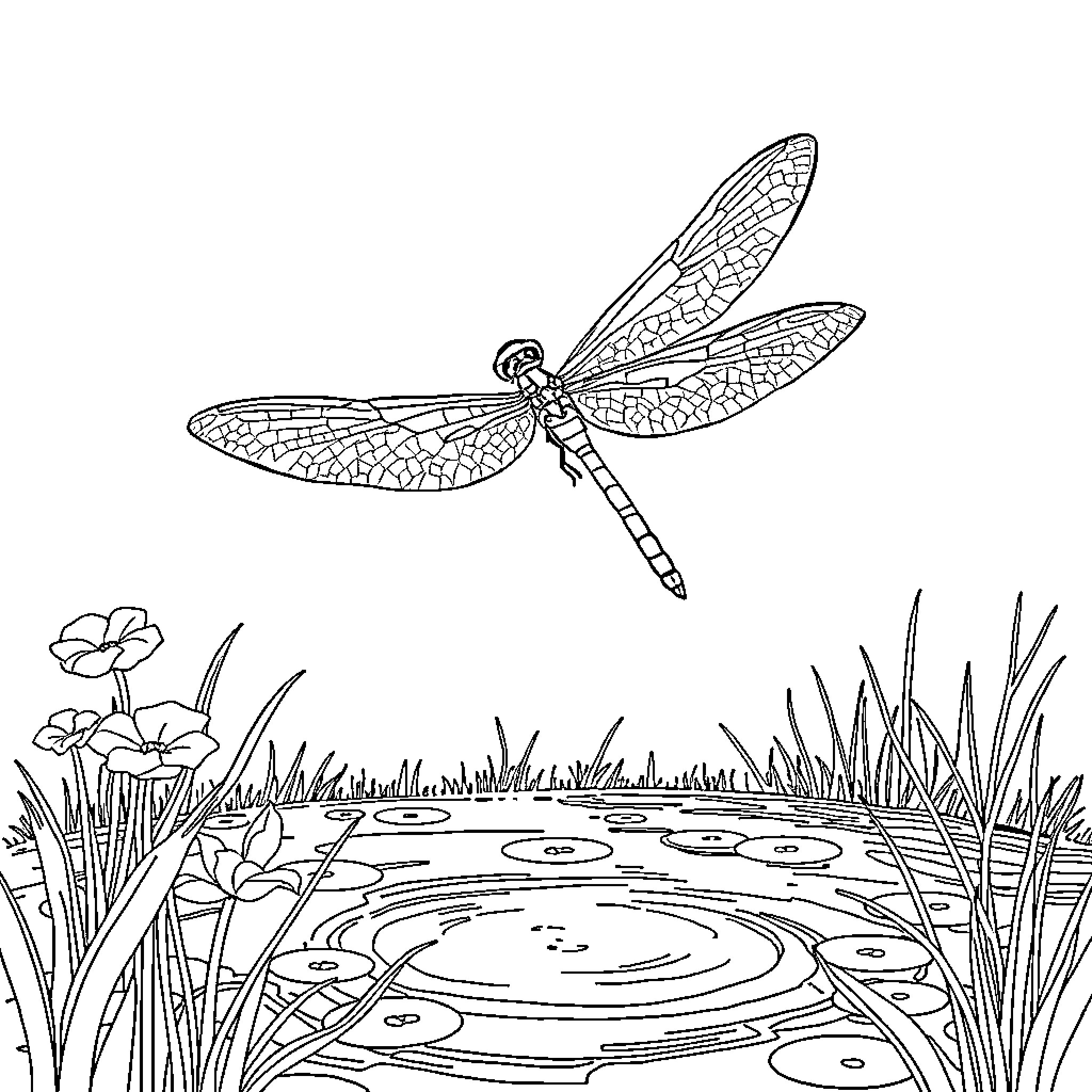 Dragonfly hovering over a tranquil pond Coloring Page (free black-and-white line drawing printable PDF for all, from beginners to advanced learners, including children, teens, adults, and seniors)