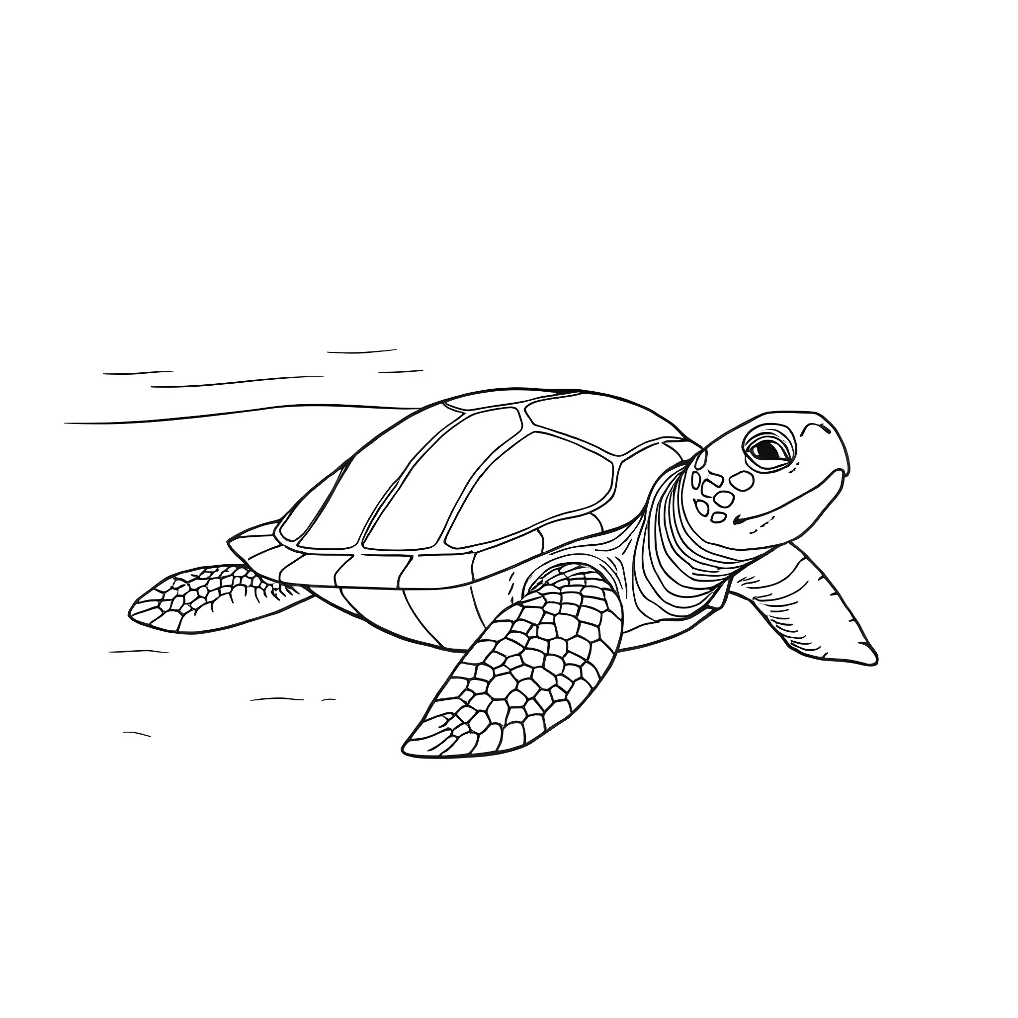 Turtle swimming gracefully in the ocean Coloring Page (free black-and-white line drawing printable PDF for all, from beginners to advanced learners, including children, teens, adults, and seniors)