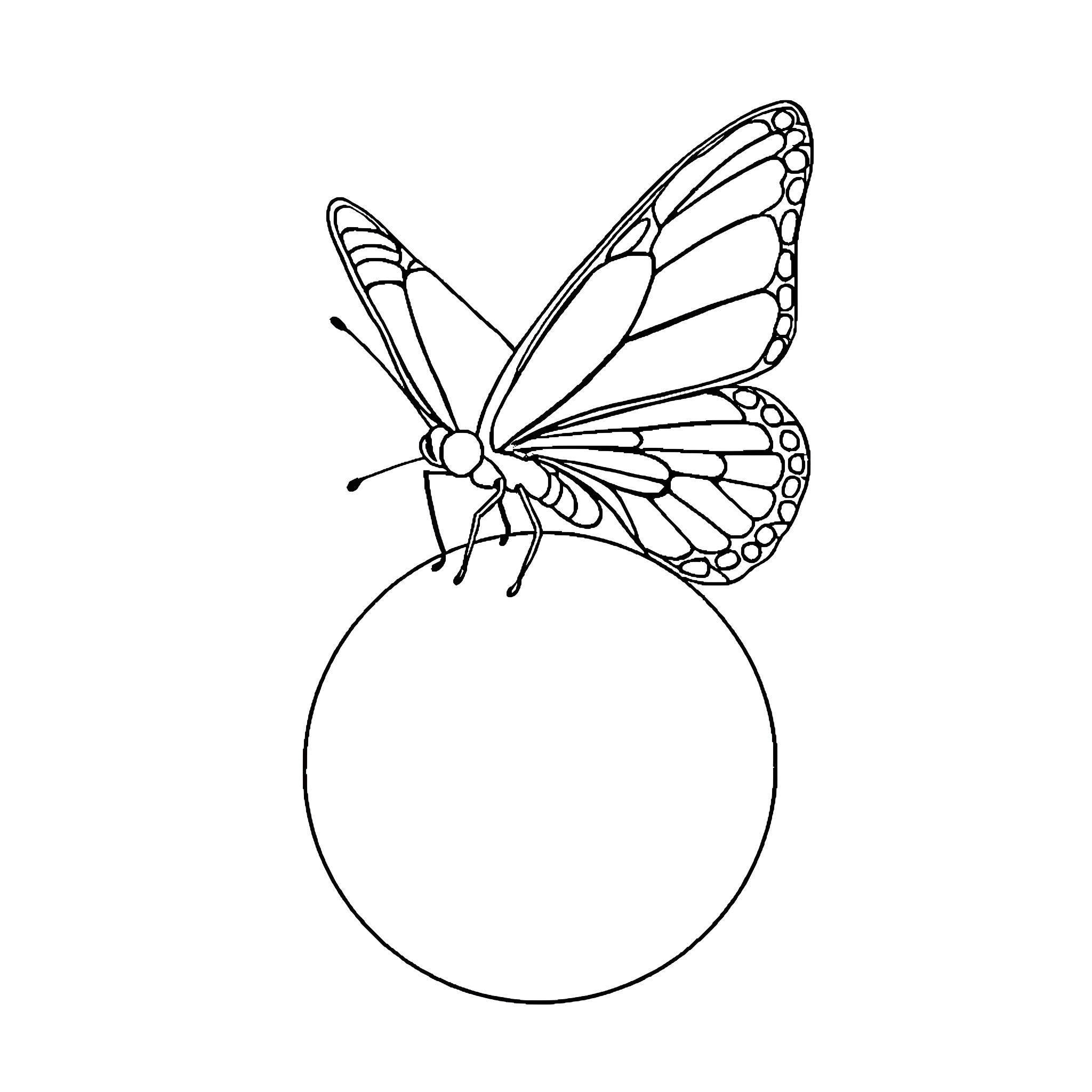 Butterfly with empty frame Coloring Page (free black-and-white line drawing printable PDF for all, from beginners to advanced learners, including children, teens, adults, and seniors)