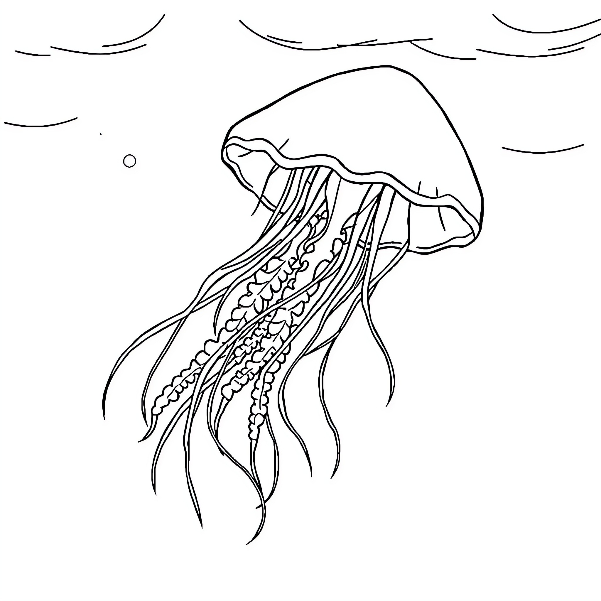 Jellyfish gracefully drifting in the ocean Coloring Page (free black-and-white line drawing printable PDF for all, from beginners to advanced learners, including children, teens, adults, and seniors)