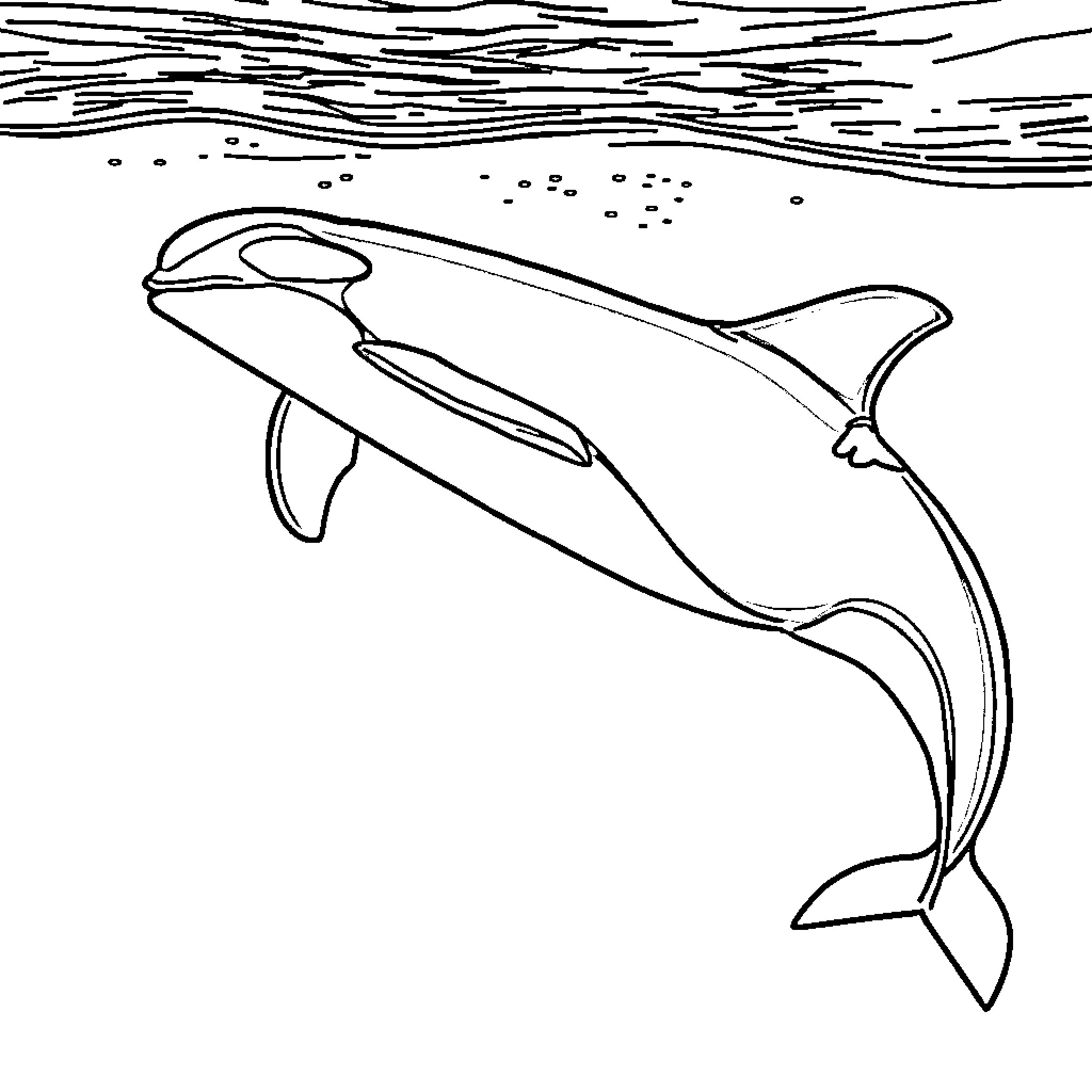 Orca swimming gracefully in the ocean Coloring Page (free black-and-white line drawing printable PDF for all, from beginners to advanced learners, including children, teens, adults, and seniors)