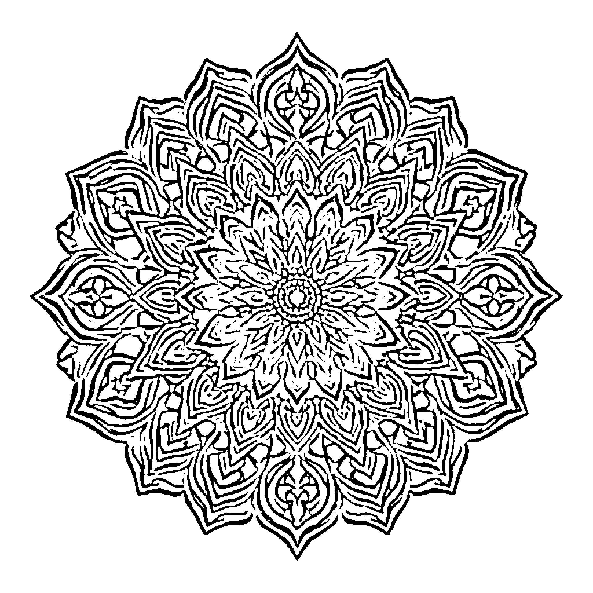 Mandala of intricate floral patterns Coloring Page (free black-and-white line drawing printable PDF for all, from beginners to advanced learners, including children, teens, adults, and seniors)