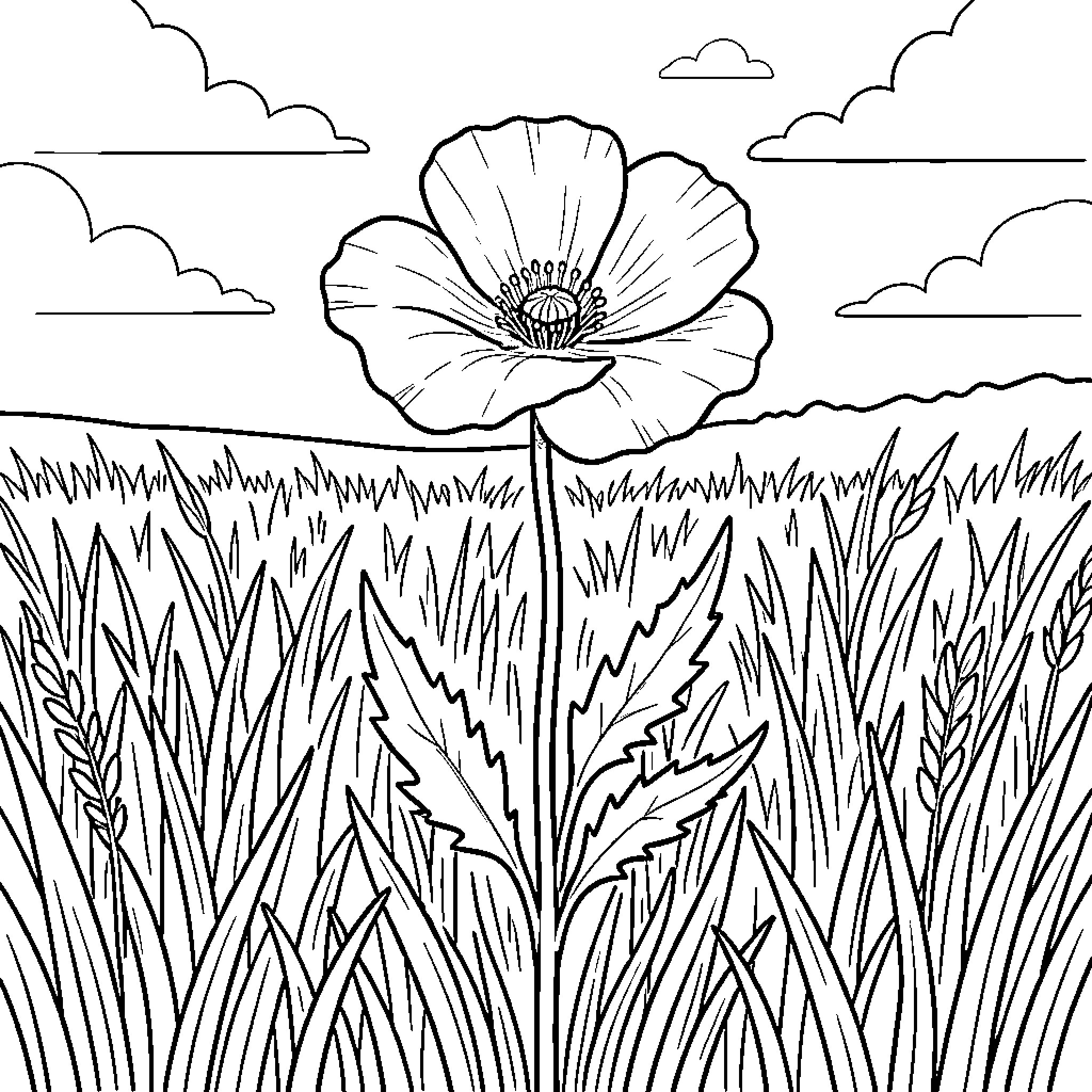 Poppy flower blooming in the meadow Coloring Page (free black-and-white line drawing printable PDF for all, from beginners to advanced learners, including children, teens, adults, and seniors)