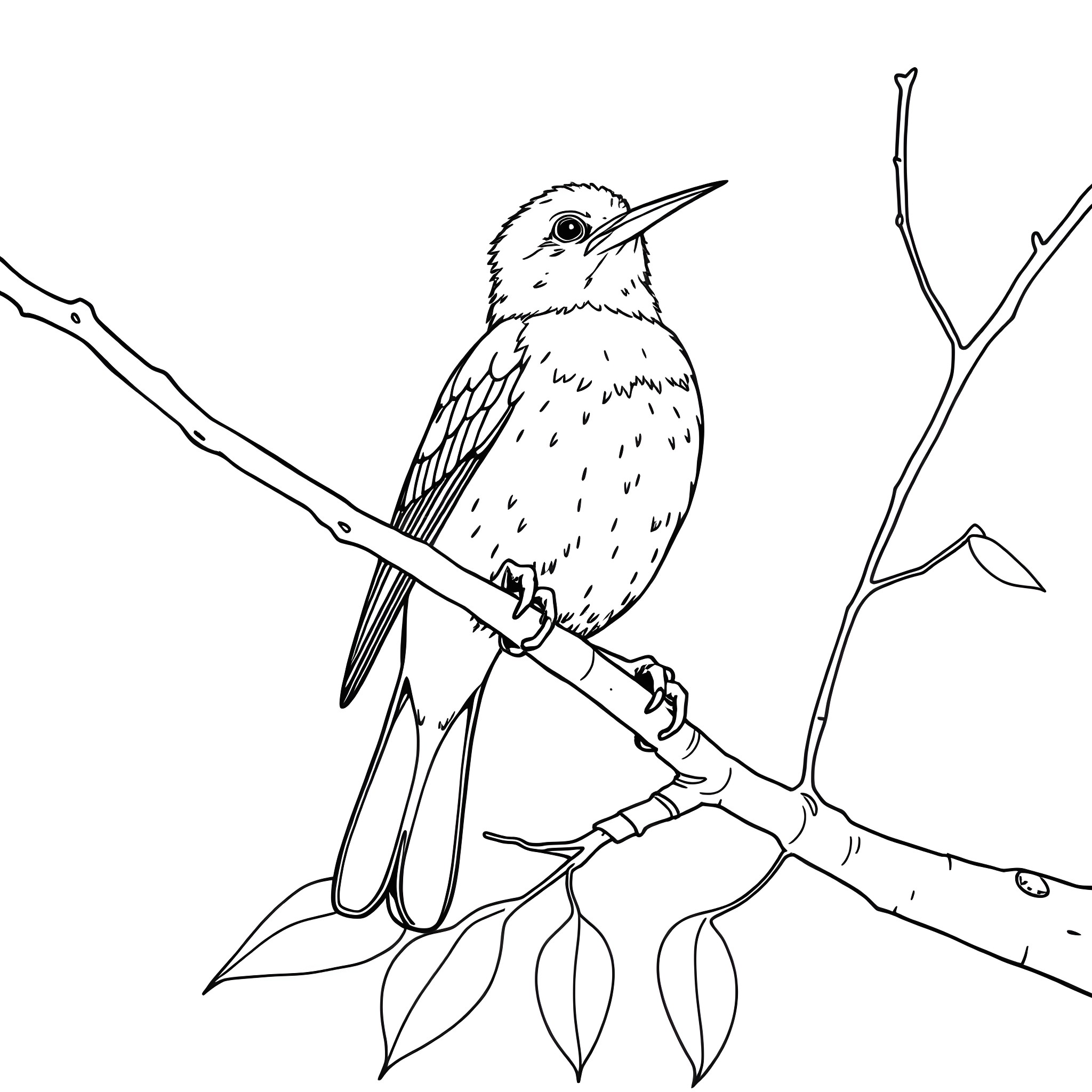Honeycreeper resting on a branch Coloring Page (free black-and-white line drawing printable PDF for all, from beginners to advanced learners, including children, teens, adults, and seniors)