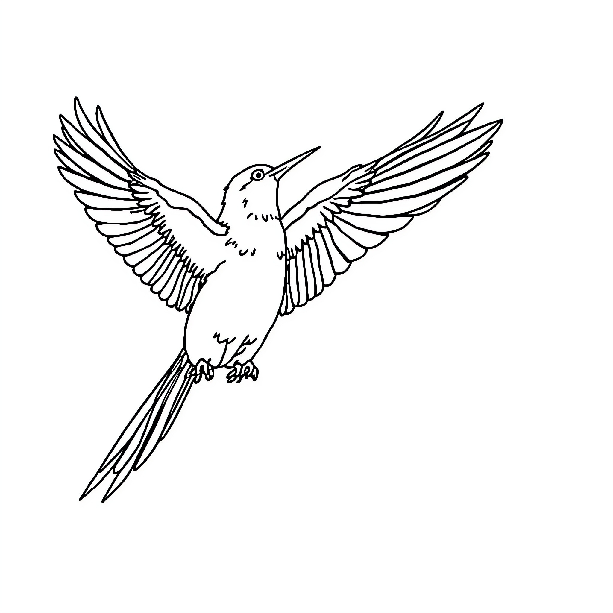 Bird with outstretched wings in flight Coloring Page (free black-and-white line drawing printable PDF for all, from beginners to advanced learners, including children, teens, adults, and seniors)