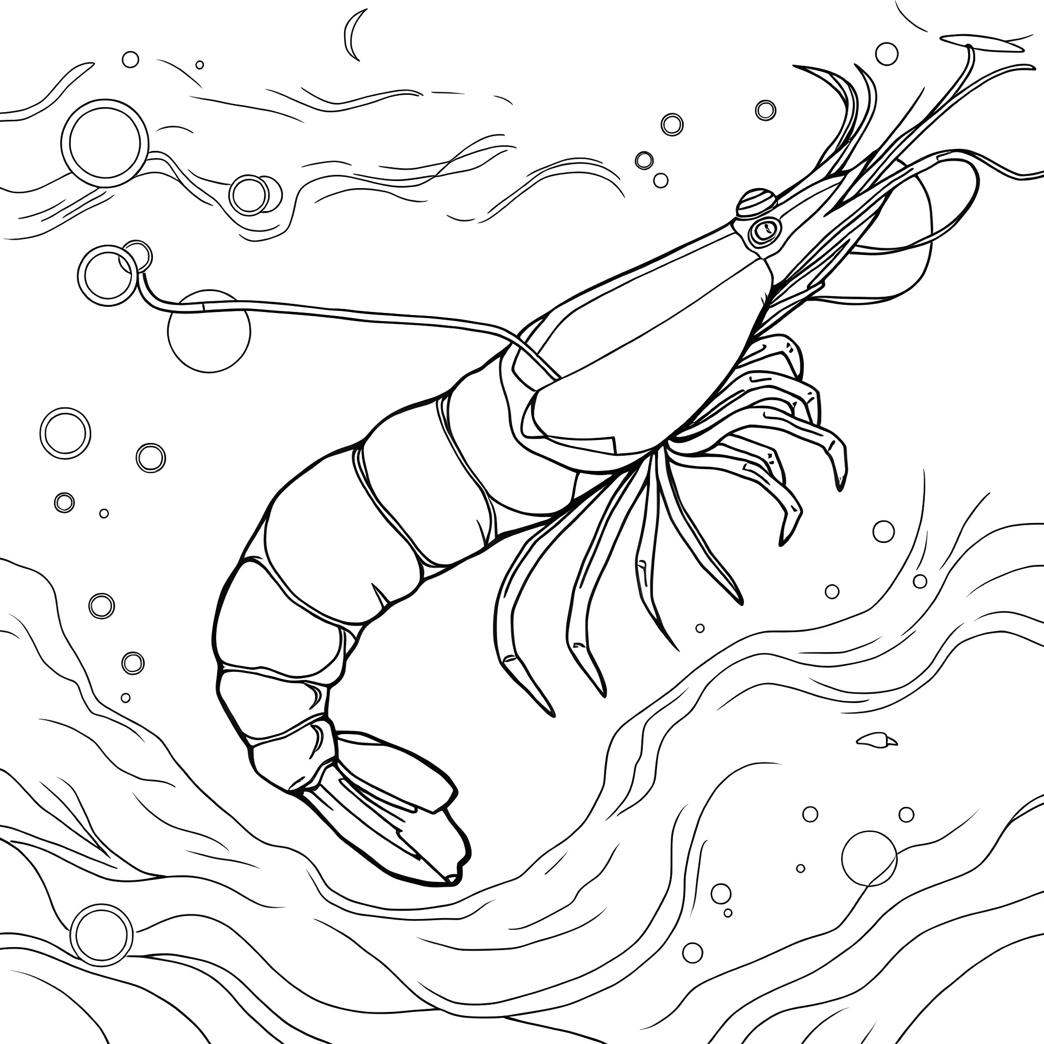 Shrimp swimming gracefully in the underwater scene Coloring Page (free black-and-white line drawing printable PDF for all, from beginners to advanced learners, including children, teens, adults, and seniors)