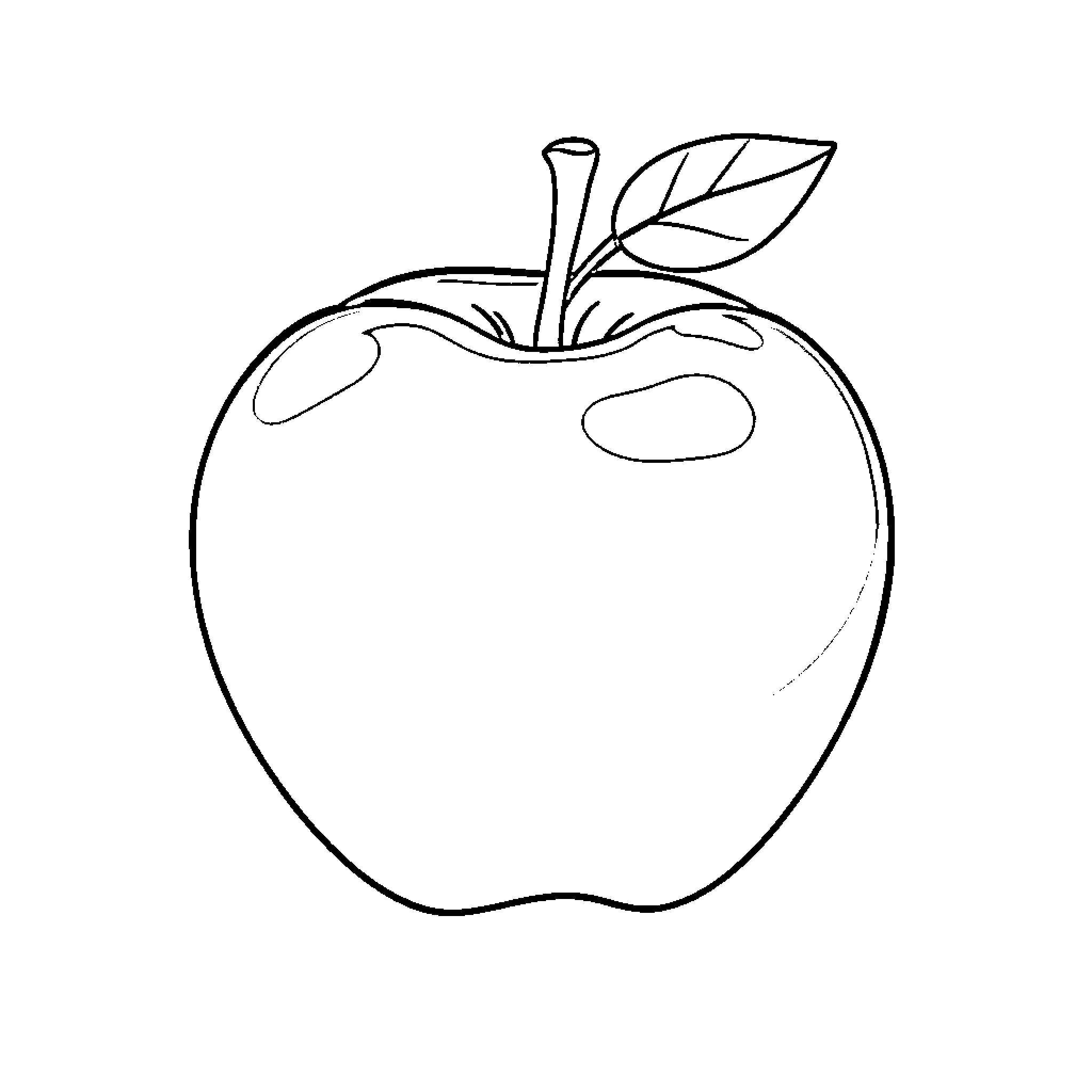 Apple Outline with Leaf Coloring Page (free black-and-white line drawing printable PDF for all, from beginners to advanced learners, including children, teens, adults, and seniors)