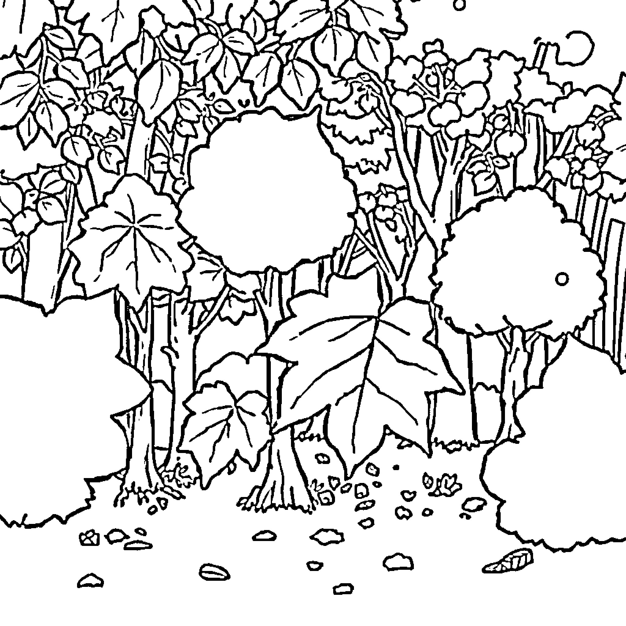 Leaf Forest Wonderland Coloring Page (free black-and-white line drawing printable PDF for all, from beginners to advanced learners, including children, teens, adults, and seniors)