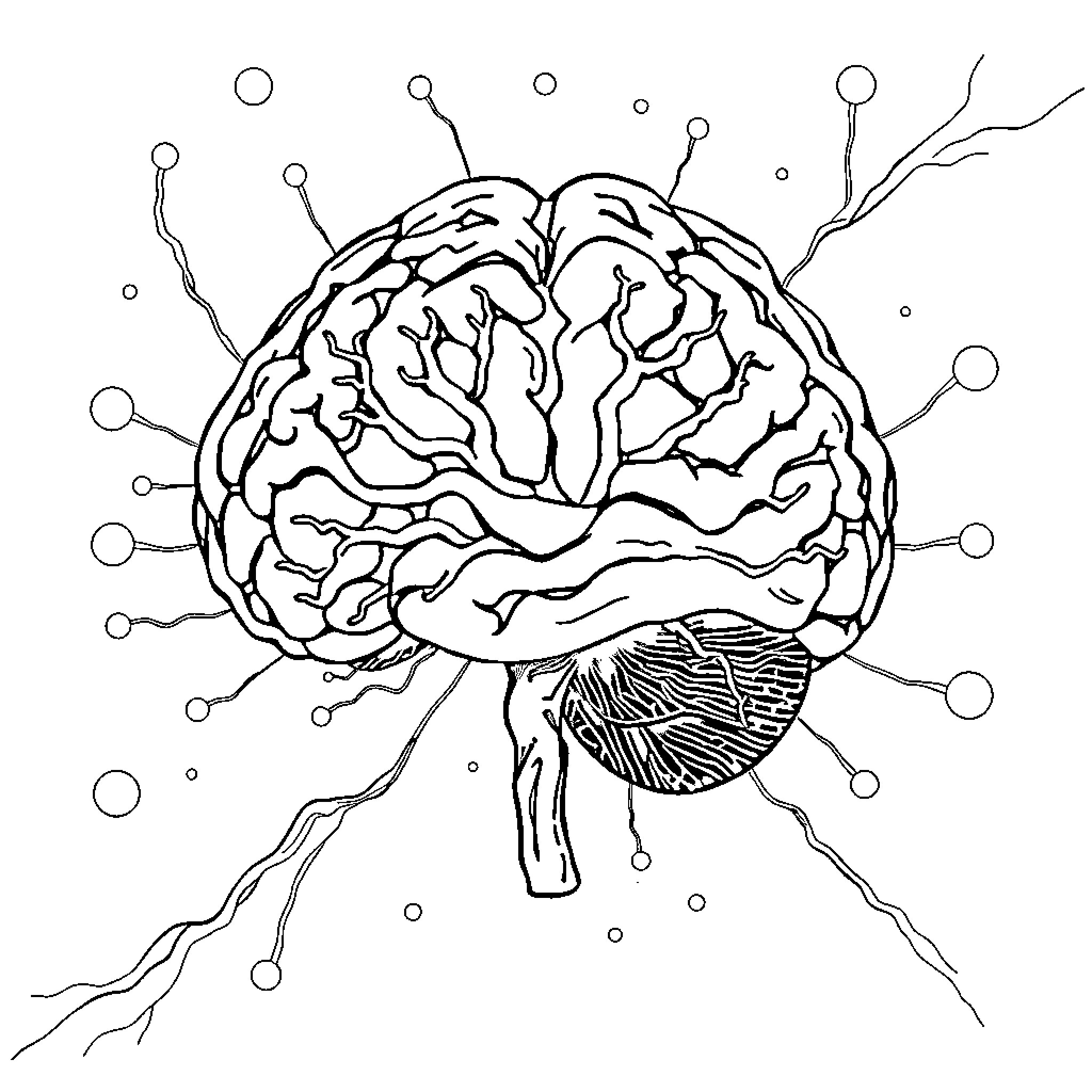 Limbic System Neurotransmitters and Signals Coloring Page (free black-and-white line drawing printable PDF for all, from beginners to advanced learners, including children, teens, adults, and seniors)