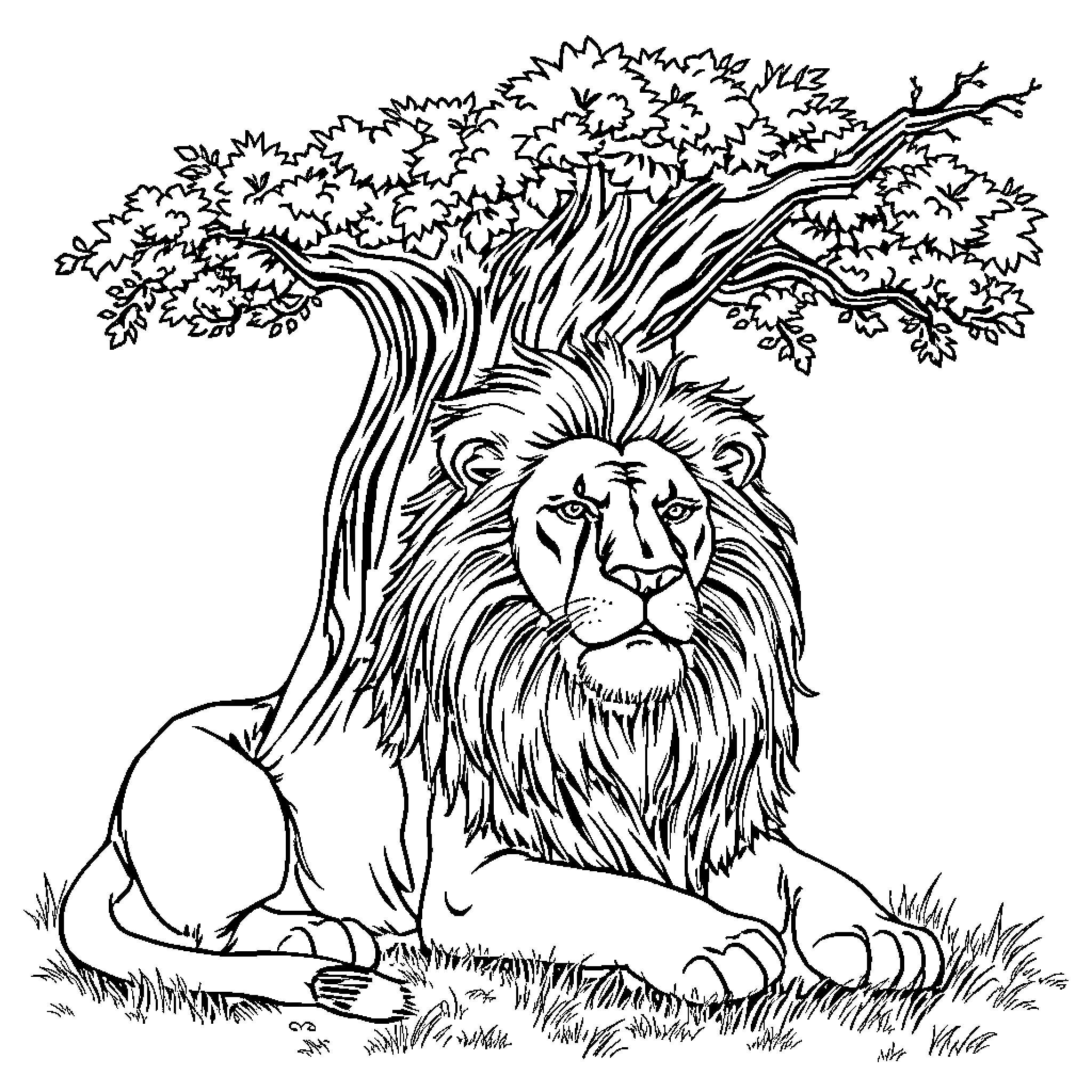 Lion resting under a large tree Coloring Page (free black-and-white line drawing printable PDF for all, from beginners to advanced learners, including children, teens, adults, and seniors)