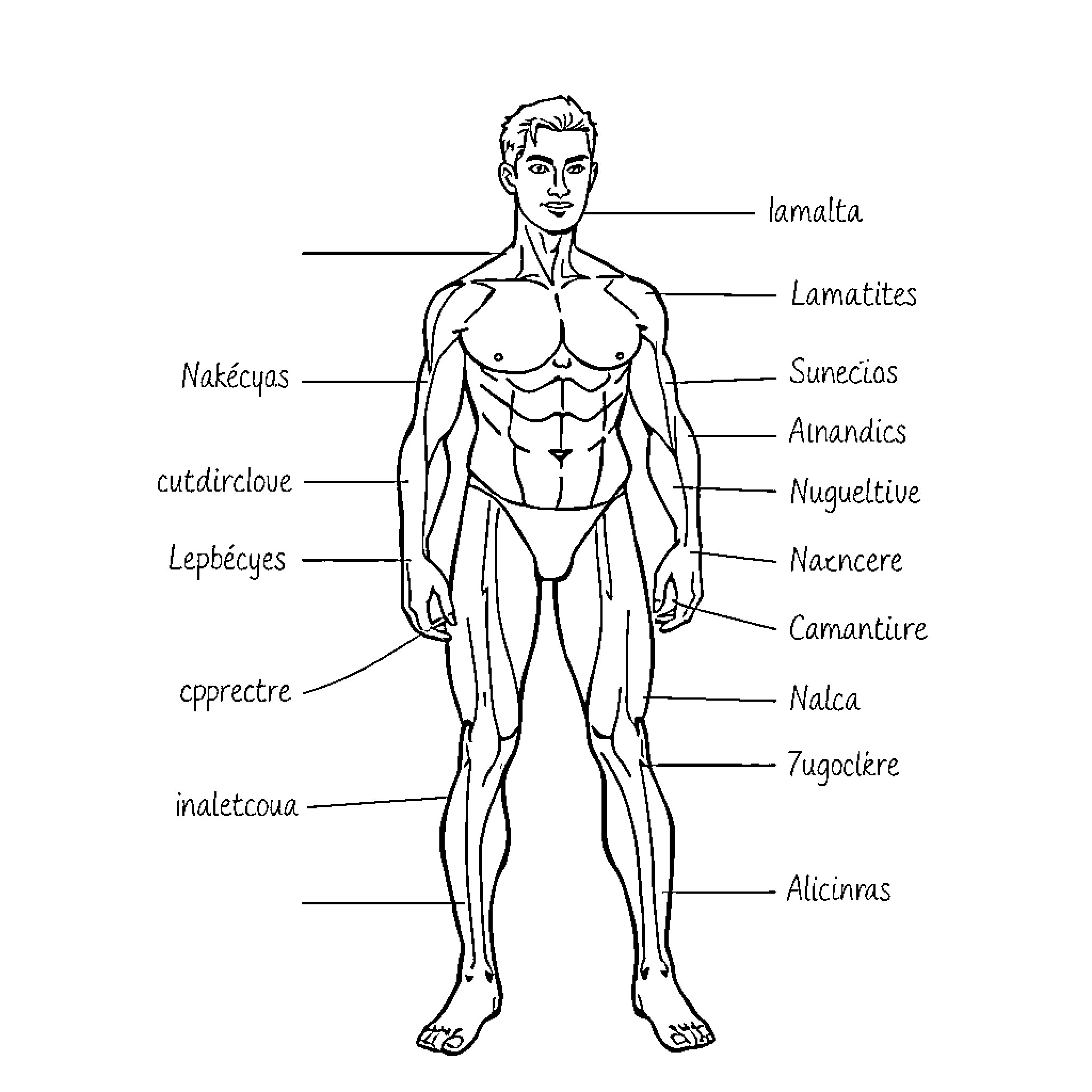Body Parts of a Male Human Anatomy Coloring Page (free black-and-white line drawing printable PDF for all, from beginners to advanced learners, including children, teens, adults, and seniors)