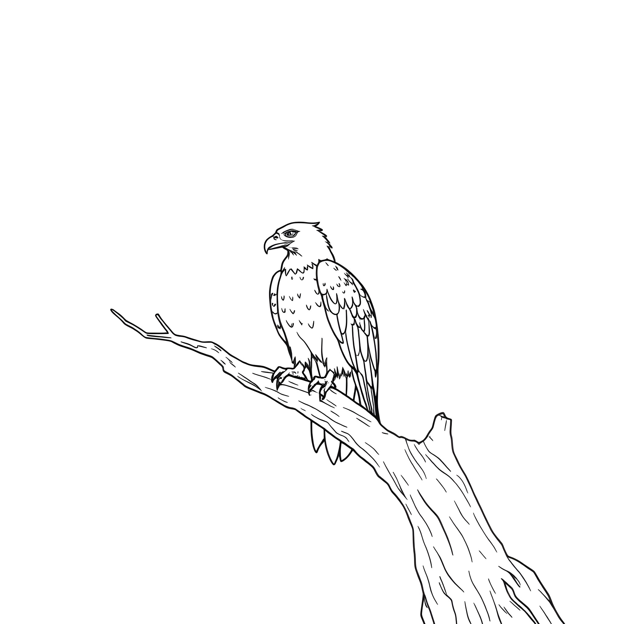 Eagle perched on a branch Coloring Page (free black-and-white line drawing printable PDF for all, from beginners to advanced learners, including children, teens, adults, and seniors)
