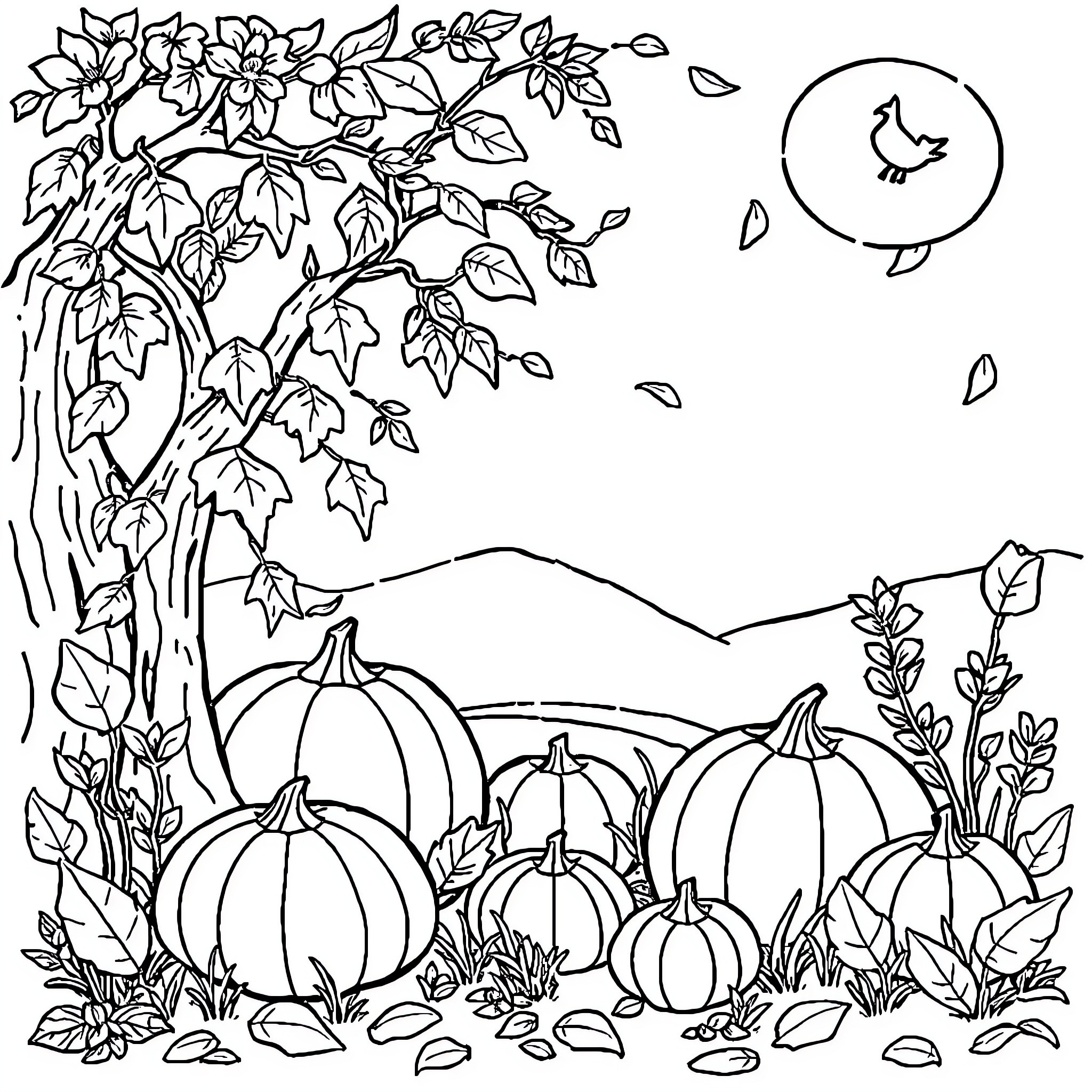 Fall foliage and pumpkins in the field Coloring Page (free black-and-white line drawing printable PDF for all, from beginners to advanced learners, including children, teens, adults, and seniors)