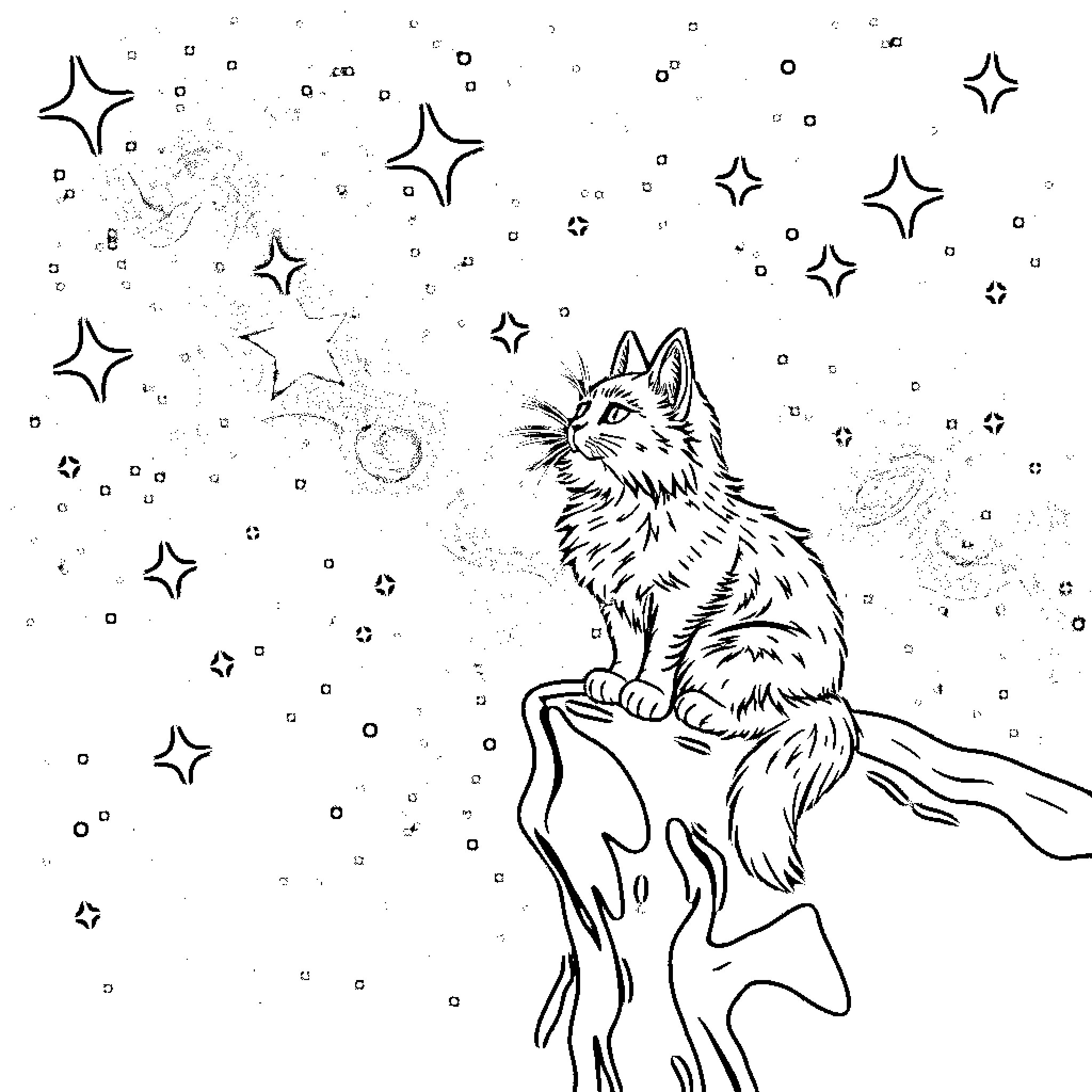 Cat gazing at stars in the night sky Coloring Page (free black-and-white line drawing printable PDF for all, from beginners to advanced learners, including children, teens, adults, and seniors)