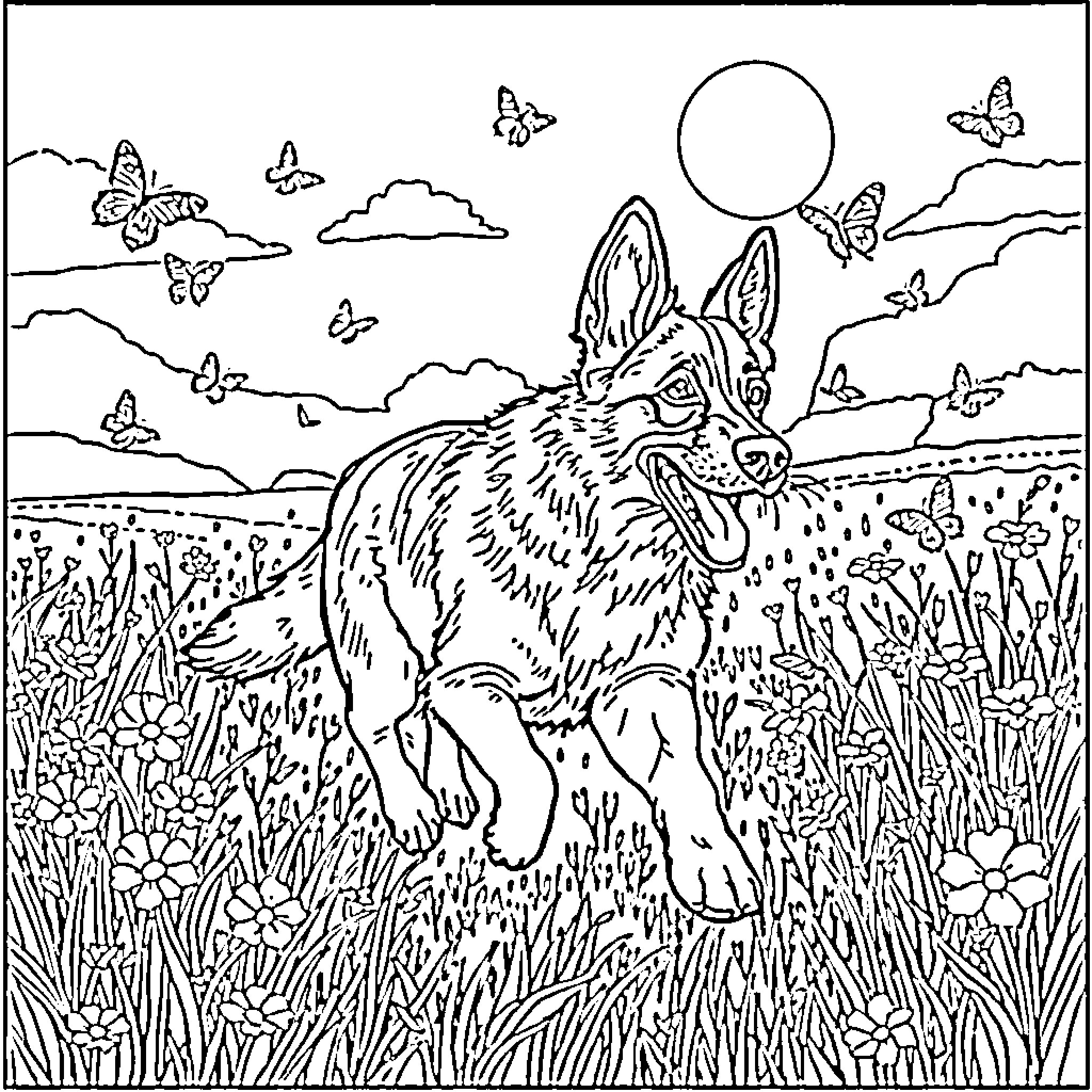 German Shepherd exploring nature among butterflies Coloring Page (free black-and-white line drawing printable PDF for all, from beginners to advanced learners, including children, teens, adults, and seniors)