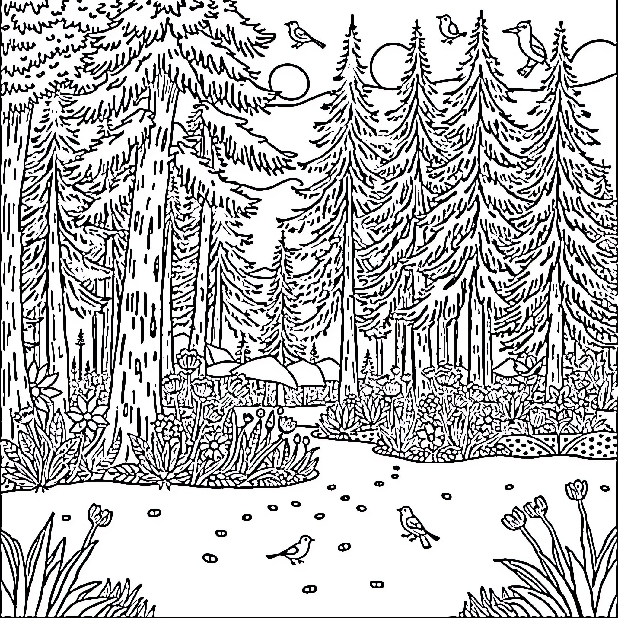 Nature's Woodland Wonderland: A Serene Forest Scene Coloring Page (free black-and-white line drawing printable PDF for all, from beginners to advanced learners, including children, teens, adults, and seniors)
