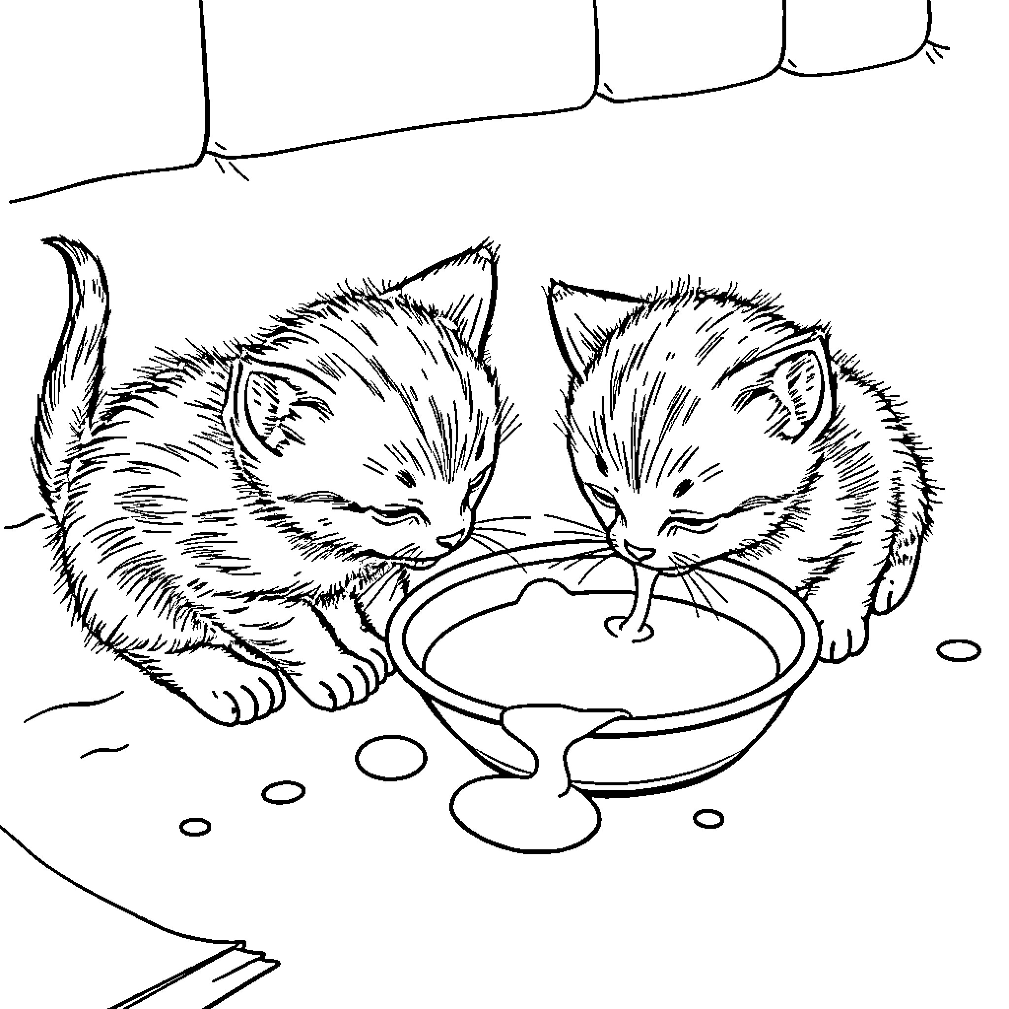 Kittens playing together by water bowl Coloring Page (free black-and-white line drawing printable PDF for all, from beginners to advanced learners, including children, teens, adults, and seniors)