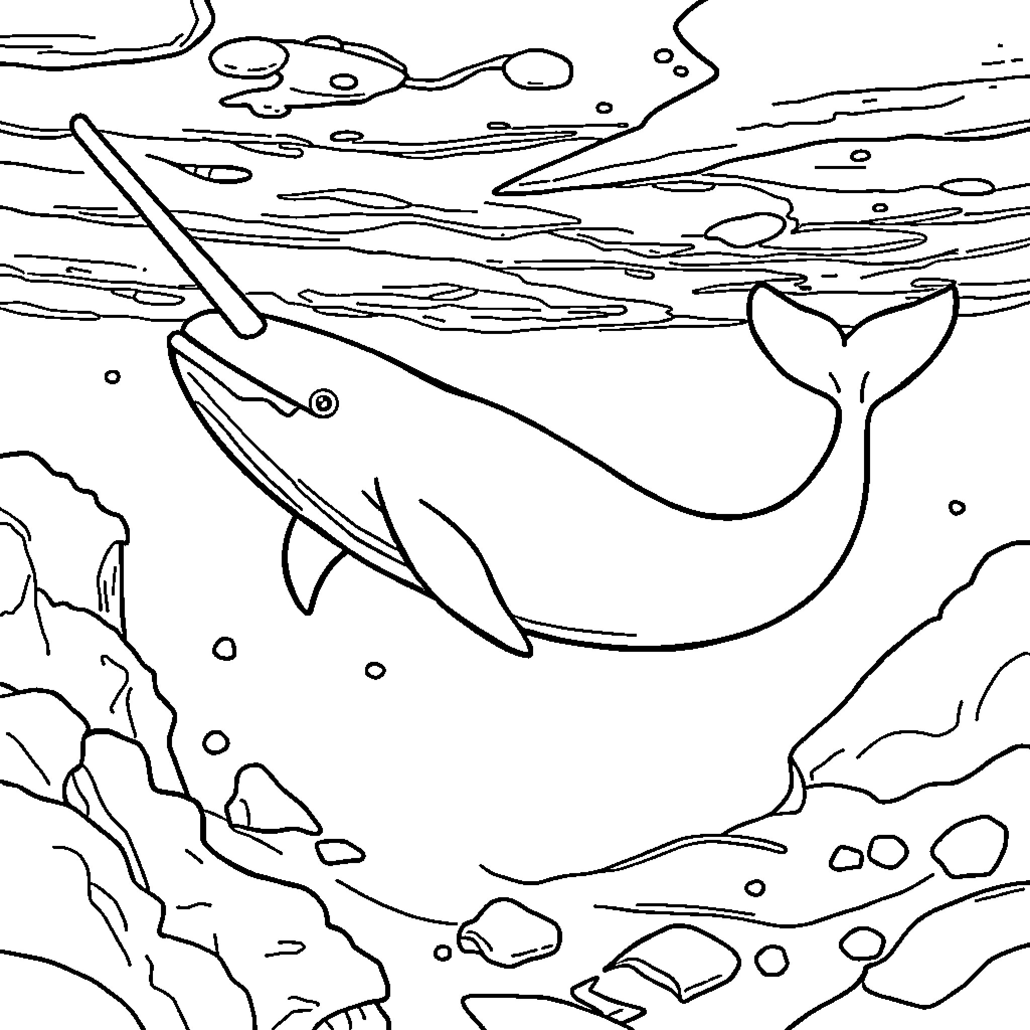 Narwhal swimming gracefully in the ocean depths Coloring Page (free black-and-white line drawing printable PDF for all, from beginners to advanced learners, including children, teens, adults, and seniors)
