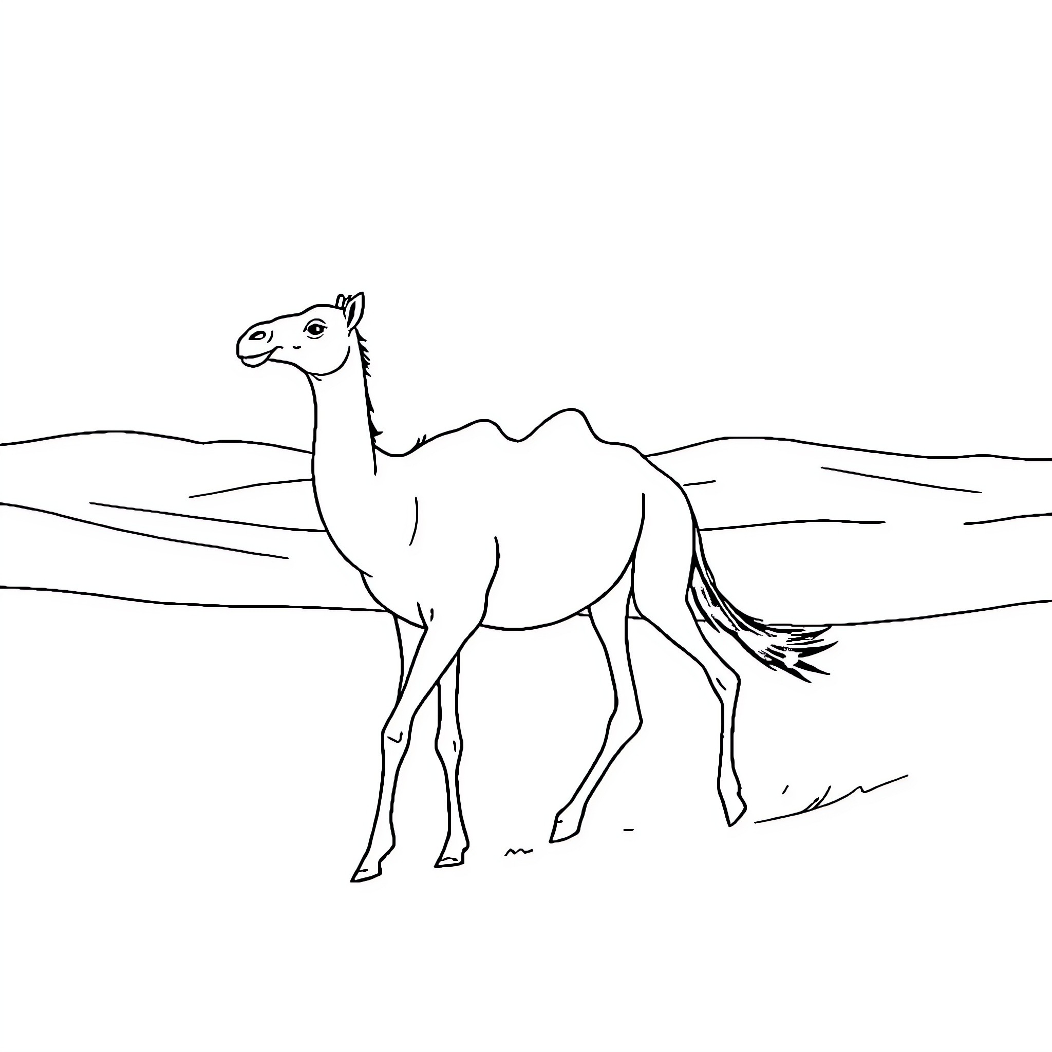 Dromedary exploring the desert landscape Coloring Page (free black-and-white line drawing printable PDF for all, from beginners to advanced learners, including children, teens, adults, and seniors)