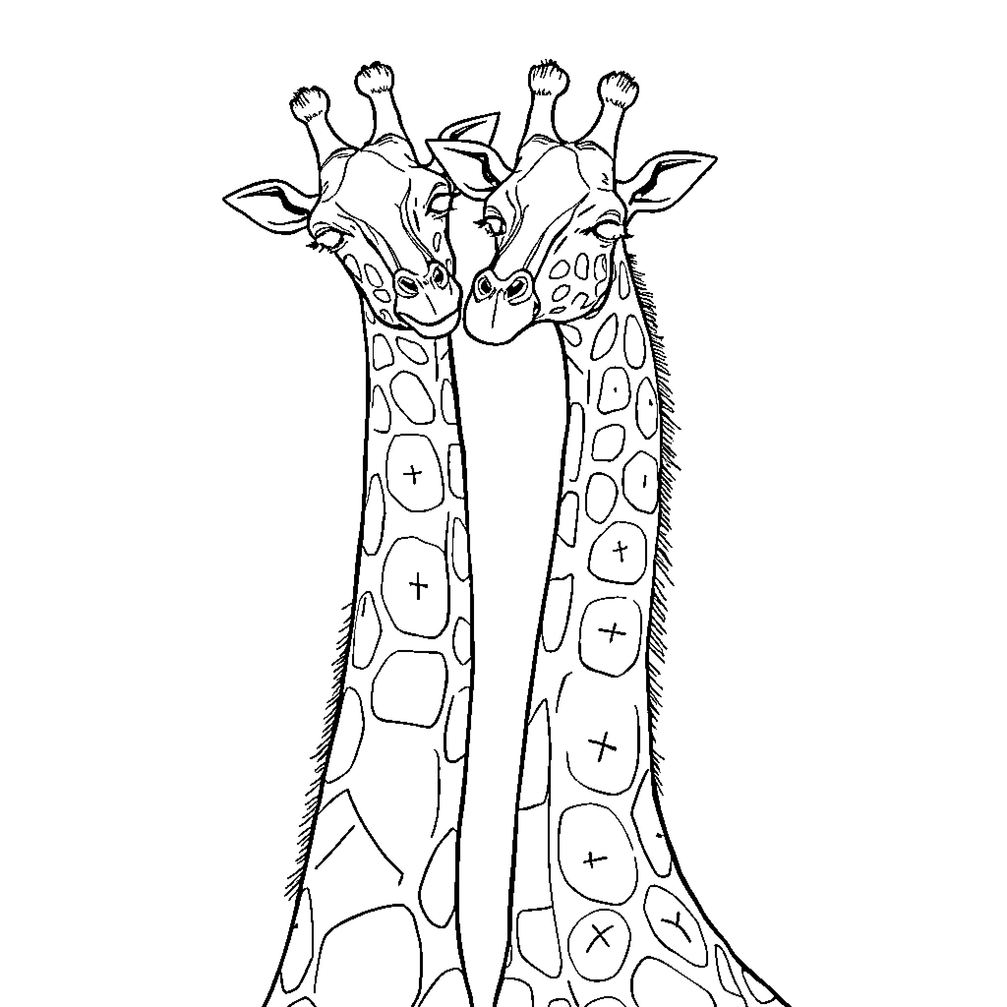 Giraffe friends enjoying each other's company Coloring Page (free black-and-white line drawing printable PDF for all, from beginners to advanced learners, including children, teens, adults, and seniors)