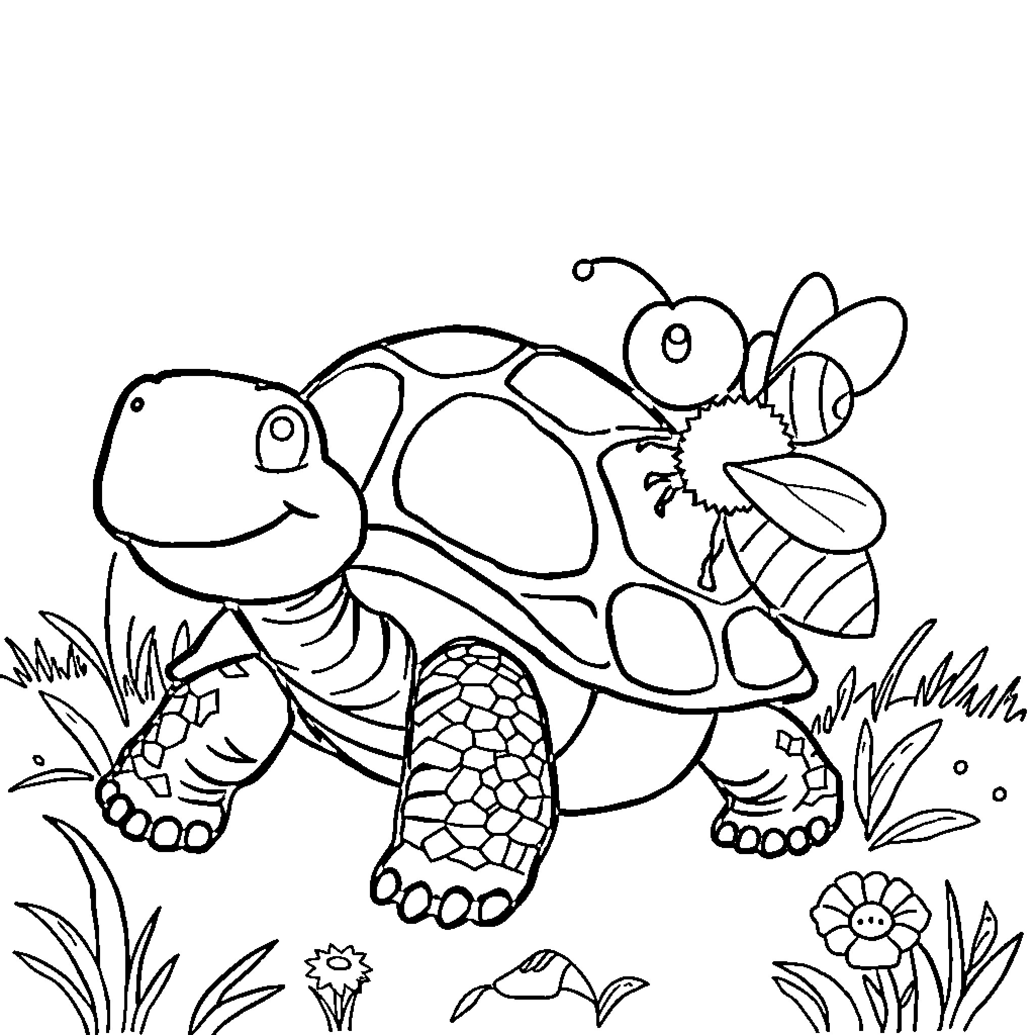 Tortoise and Bee Explore the Garden Coloring Page (free black-and-white line drawing printable PDF for all, from beginners to advanced learners, including children, teens, adults, and seniors)