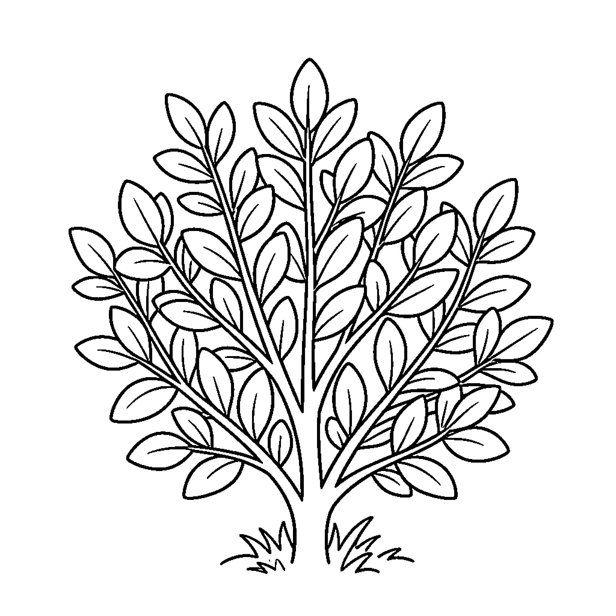 Bush with lush leaves growing in the grass Coloring Page (free black-and-white line drawing printable PDF for all, from beginners to advanced learners, including children, teens, adults, and seniors)