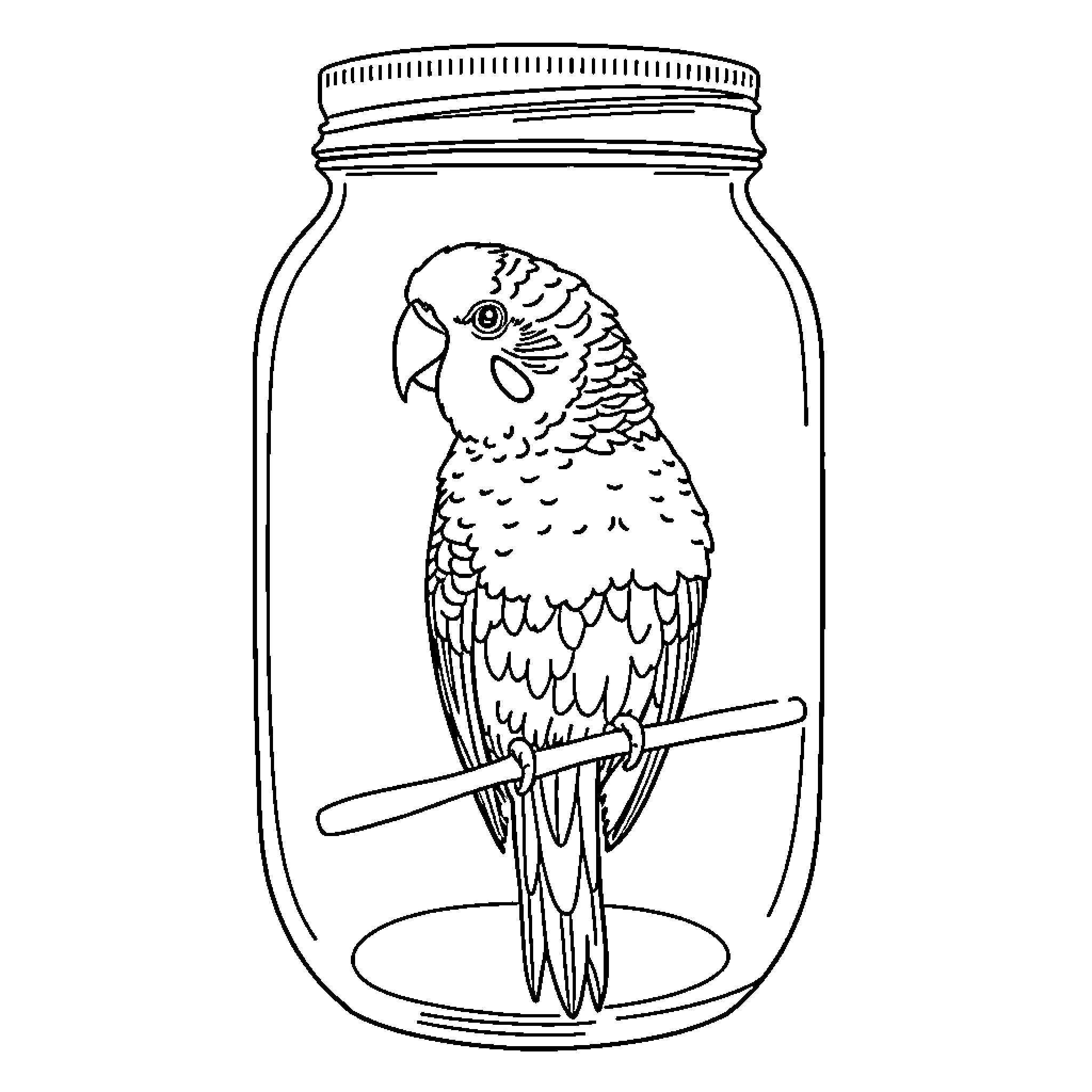 Parakeet perching inside a glass jar Coloring Page (free black-and-white line drawing printable PDF for all, from beginners to advanced learners, including children, teens, adults, and seniors)