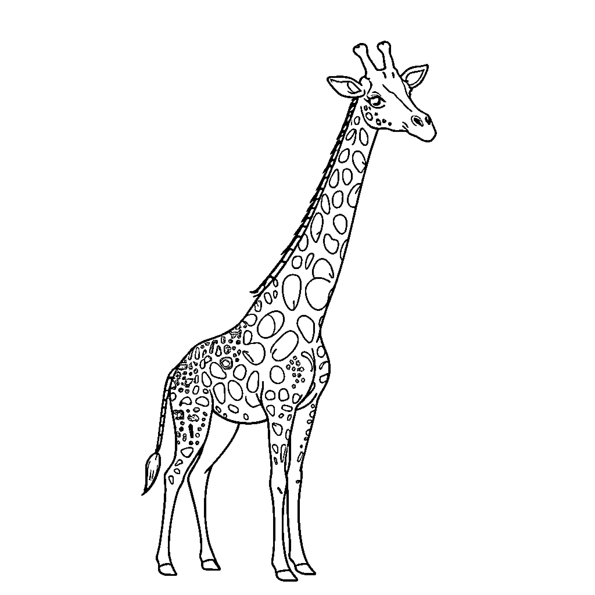 Giraffe standing tall and proud Coloring Page (free black-and-white line drawing printable PDF for all, from beginners to advanced learners, including children, teens, adults, and seniors)