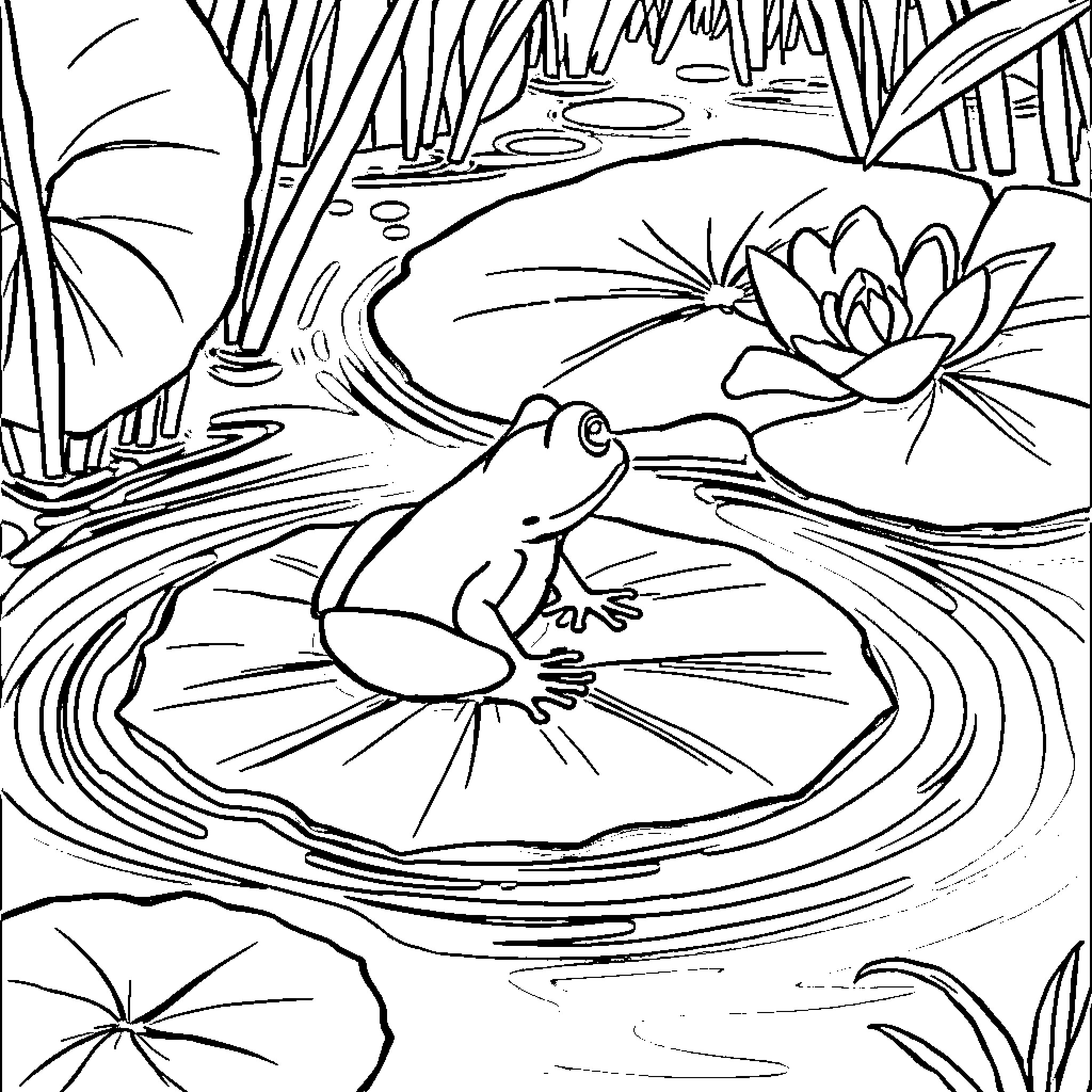 Frog relaxing on lily pad in pond Coloring Page (free black-and-white line drawing printable PDF for all, from beginners to advanced learners, including children, teens, adults, and seniors)