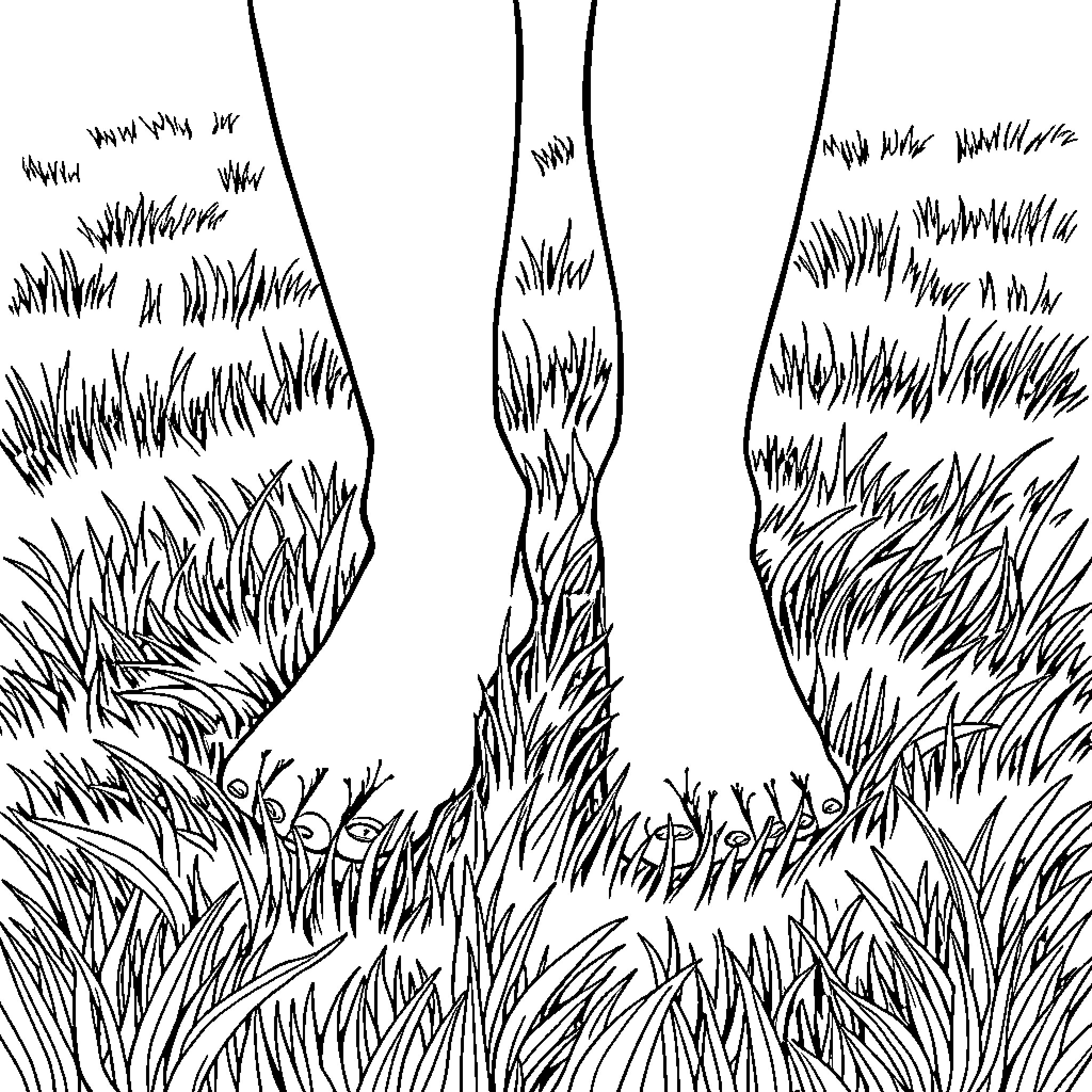 Feet trekking through tall grass Coloring Page (free black-and-white line drawing printable PDF for all, from beginners to advanced learners, including children, teens, adults, and seniors)