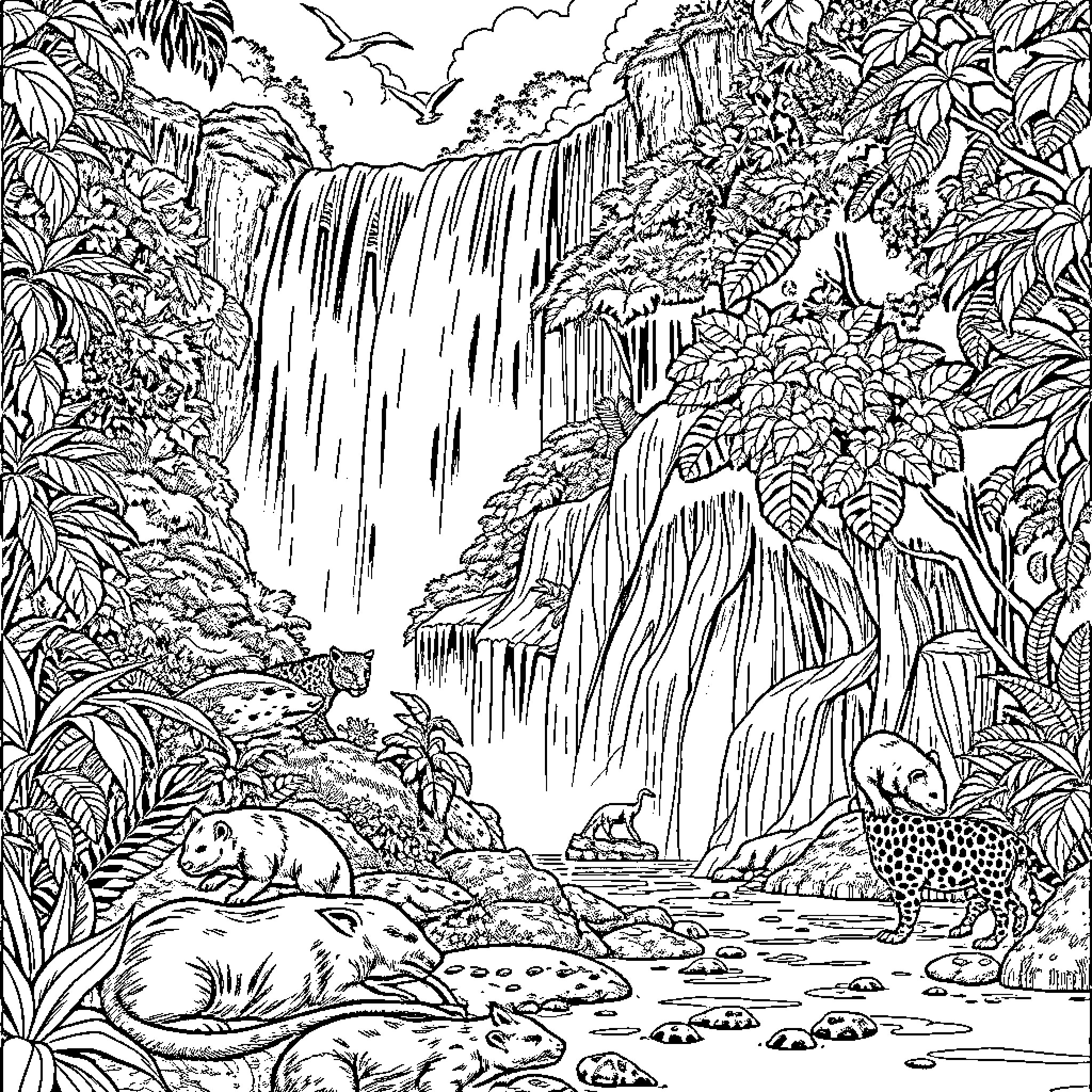 Iguazu Falls with tropical wildlife and foliage Coloring Page (free black-and-white line drawing printable PDF for all, from beginners to advanced learners, including children, teens, adults, and seniors)