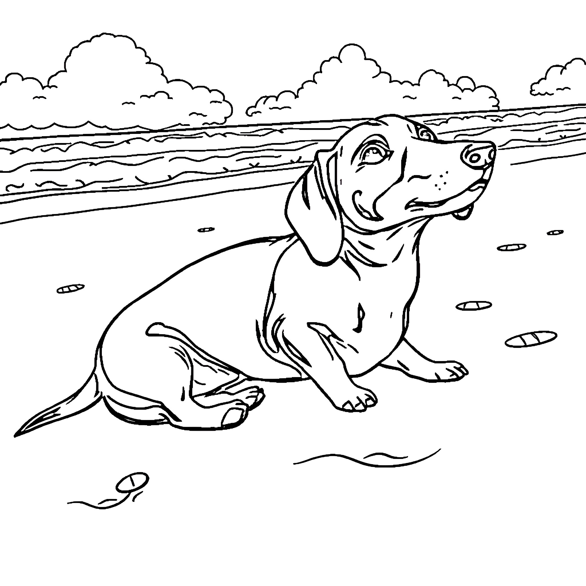 Dachshund relaxing on the beach Coloring Page (free black-and-white line drawing printable PDF for all, from beginners to advanced learners, including children, teens, adults, and seniors)