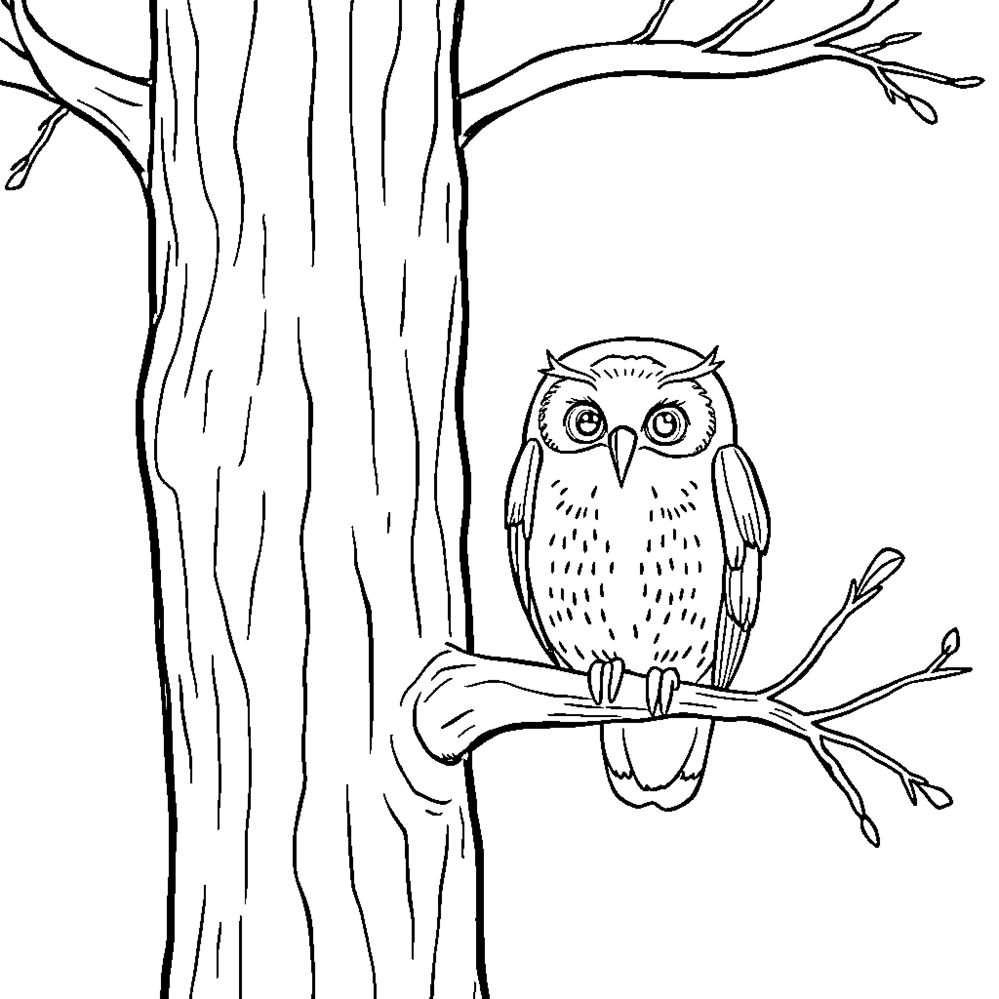 Owl perched on branch in forest scene Coloring Page (free black-and-white line drawing printable PDF for all, from beginners to advanced learners, including children, teens, adults, and seniors)