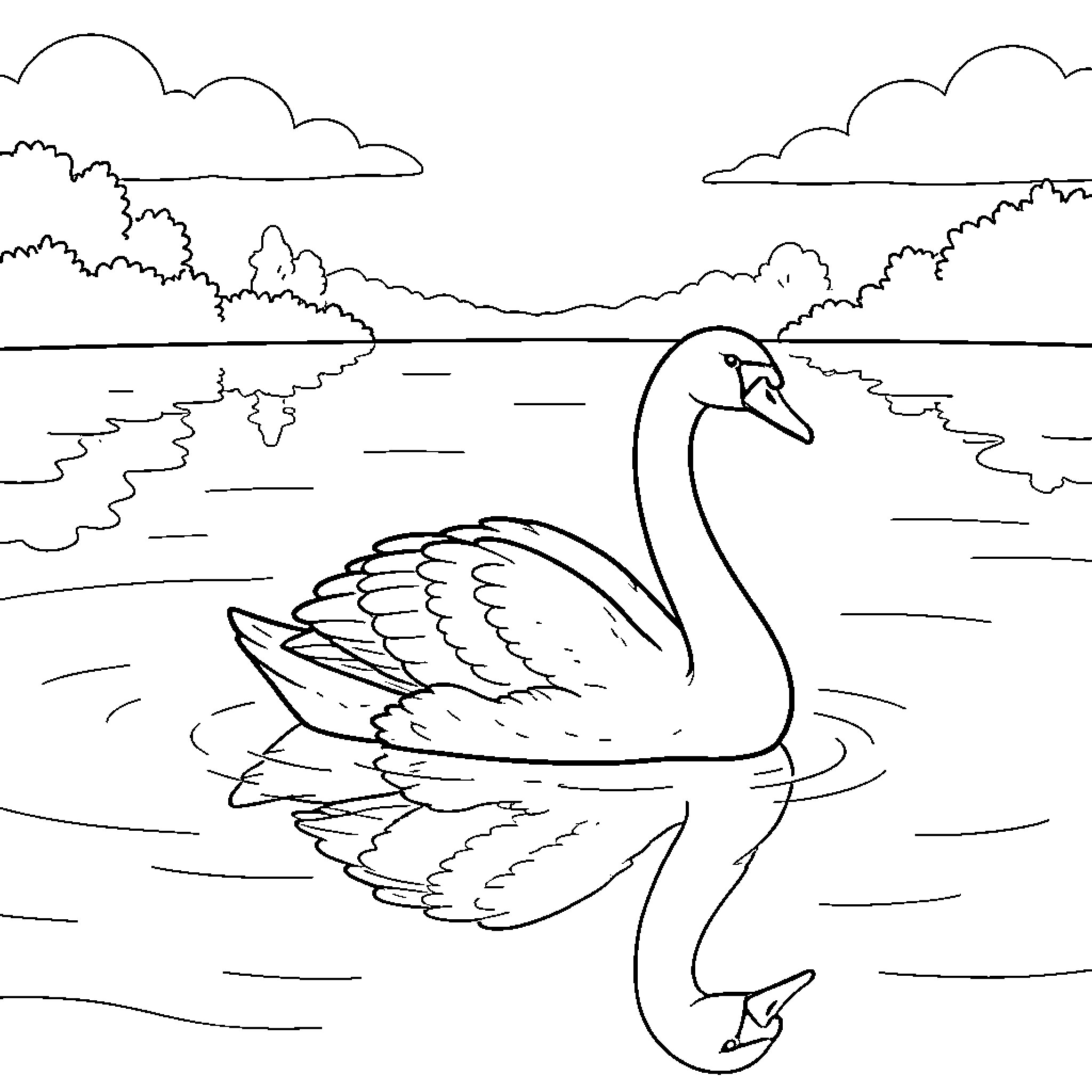 Swan swimming gracefully in the tranquil waters Coloring Page (free black-and-white line drawing printable PDF for all, from beginners to advanced learners, including children, teens, adults, and seniors)