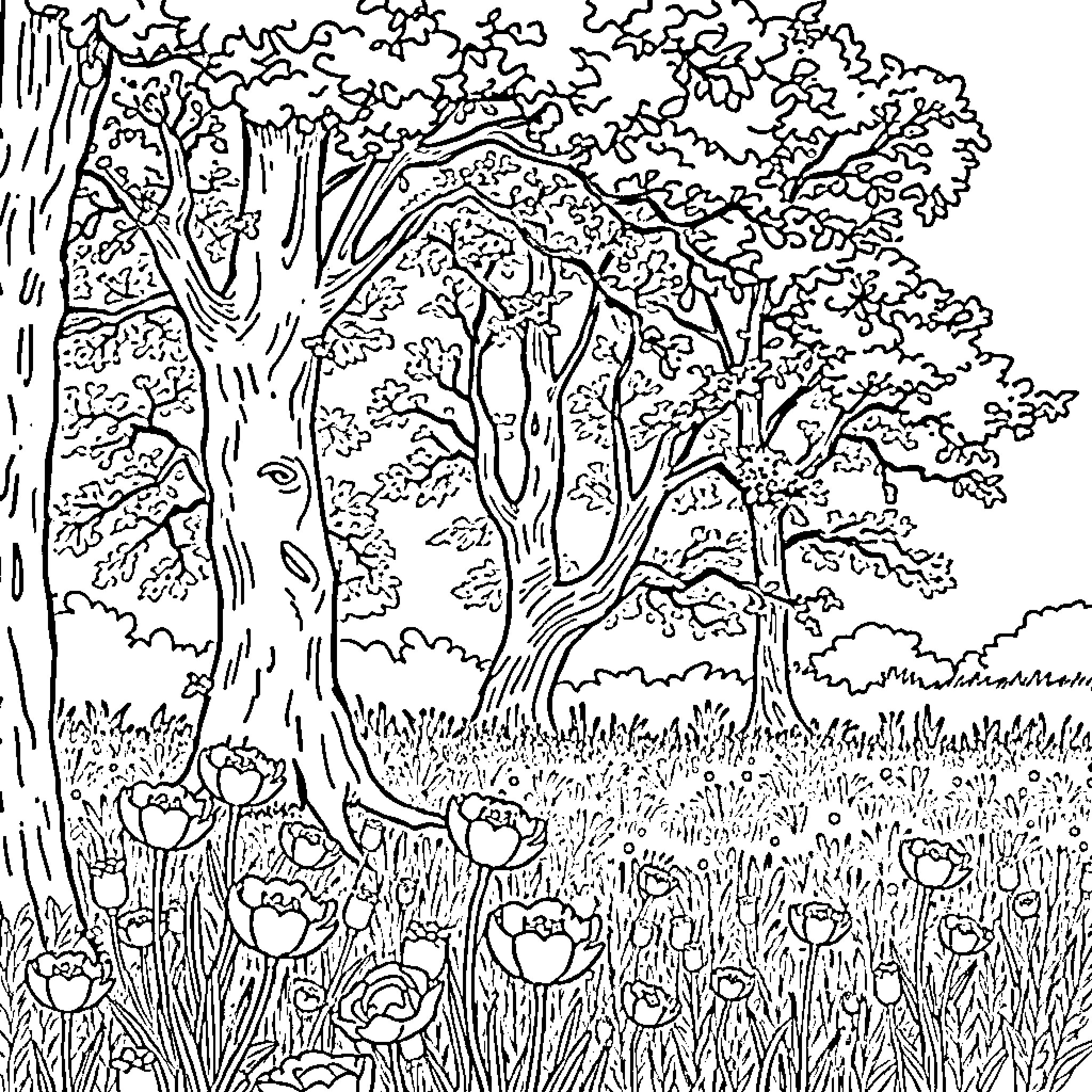 Autumn Woodland with Vibrant Foliage and Flowers Coloring Page (free black-and-white line drawing printable PDF for all, from beginners to advanced learners, including children, teens, adults, and seniors)