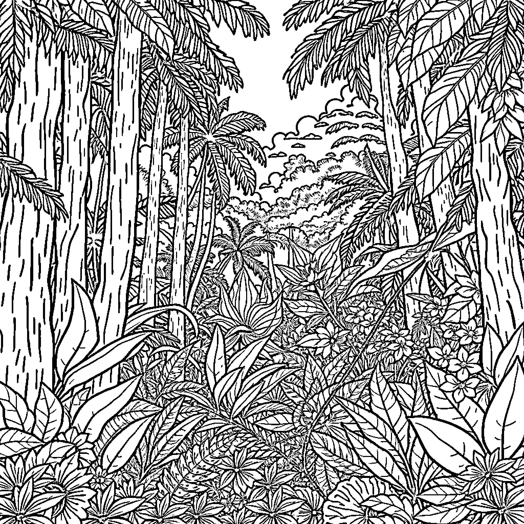 Rainforest scene with lush vegetation and foliage Coloring Page (free black-and-white line drawing printable PDF for all, from beginners to advanced learners, including children, teens, adults, and seniors)