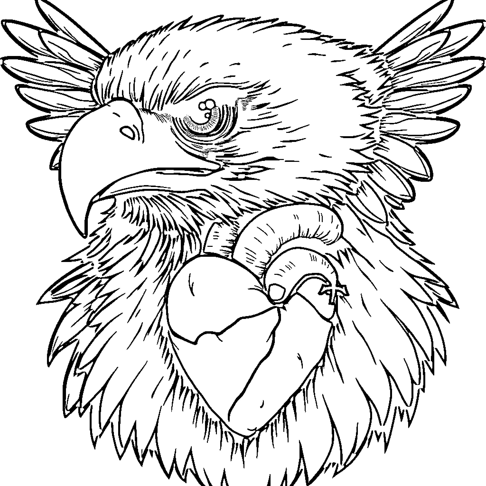 Vulture with fierce expression Coloring Page (free black-and-white line drawing printable PDF for all, from beginners to advanced learners, including children, teens, adults, and seniors)