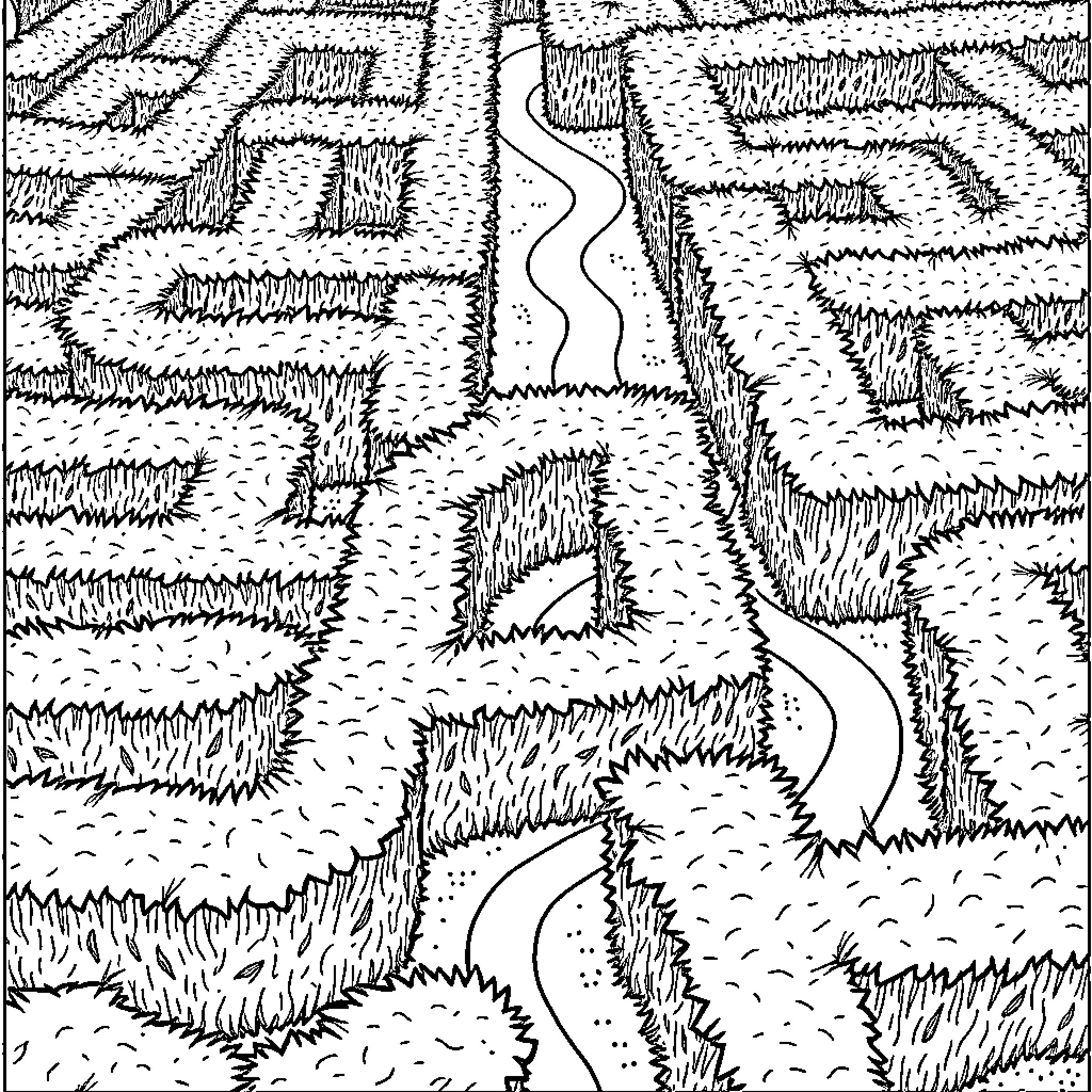Maze with Winding Paths through Overgrown Landscape Coloring Page (free black-and-white line drawing printable PDF for all, from beginners to advanced learners, including children, teens, adults, and seniors)