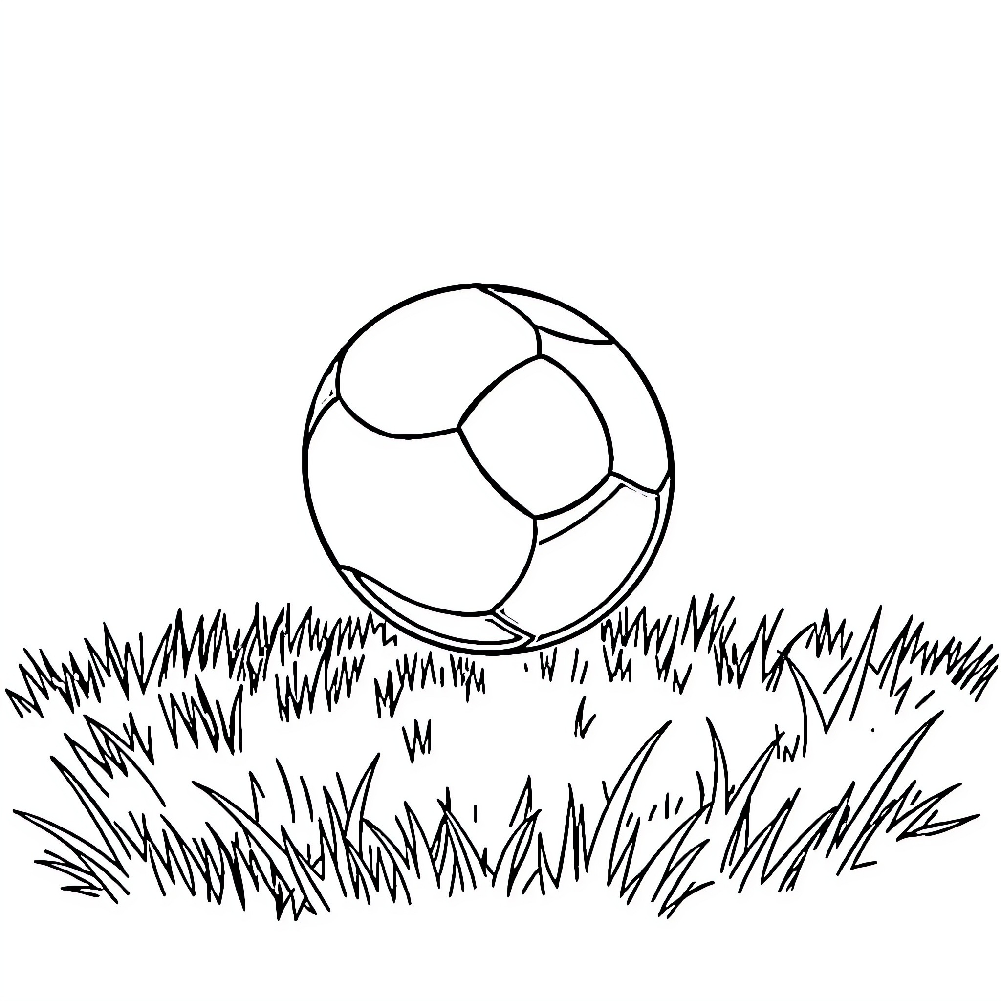 Ball resting in grassy field Coloring Page (free black-and-white line drawing printable PDF for all, from beginners to advanced learners, including children, teens, adults, and seniors)