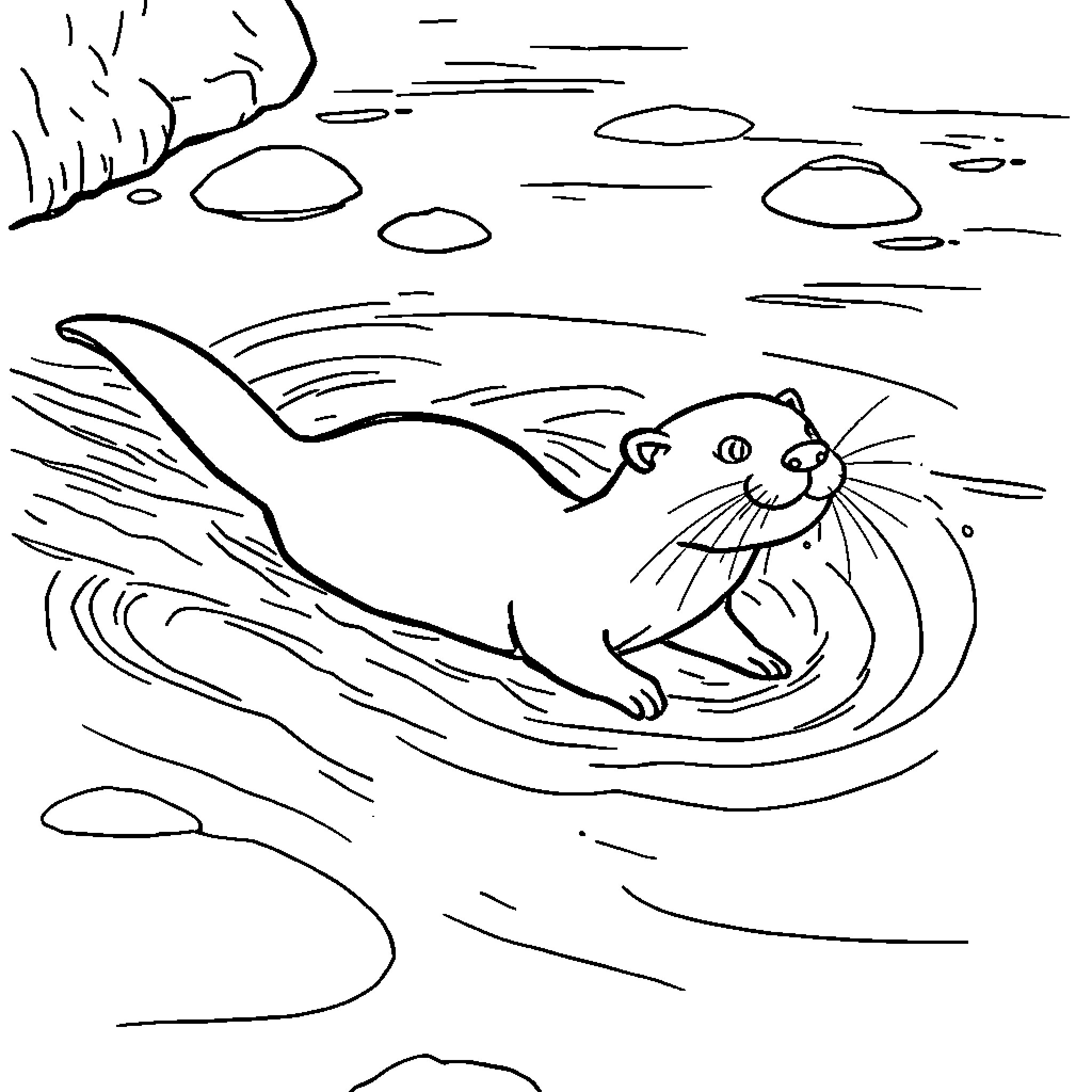 Otter swimming playfully in the water Coloring Page (free black-and-white line drawing printable PDF for all, from beginners to advanced learners, including children, teens, adults, and seniors)