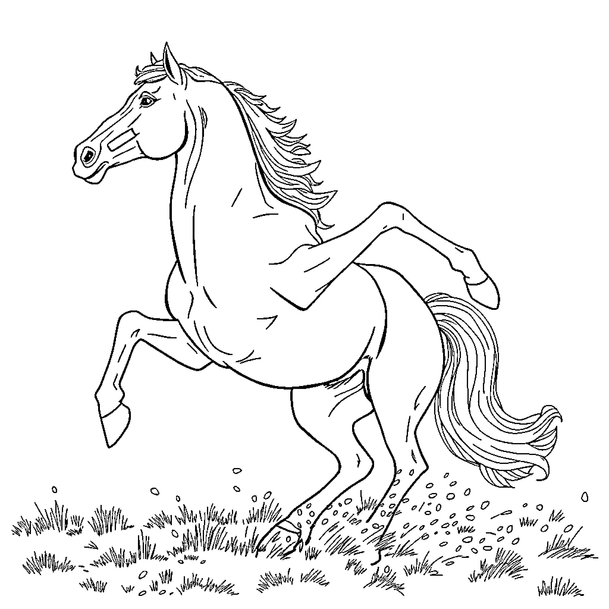 Horse galloping gracefully on grassy field Coloring Page (free black-and-white line drawing printable PDF for all, from beginners to advanced learners, including children, teens, adults, and seniors)