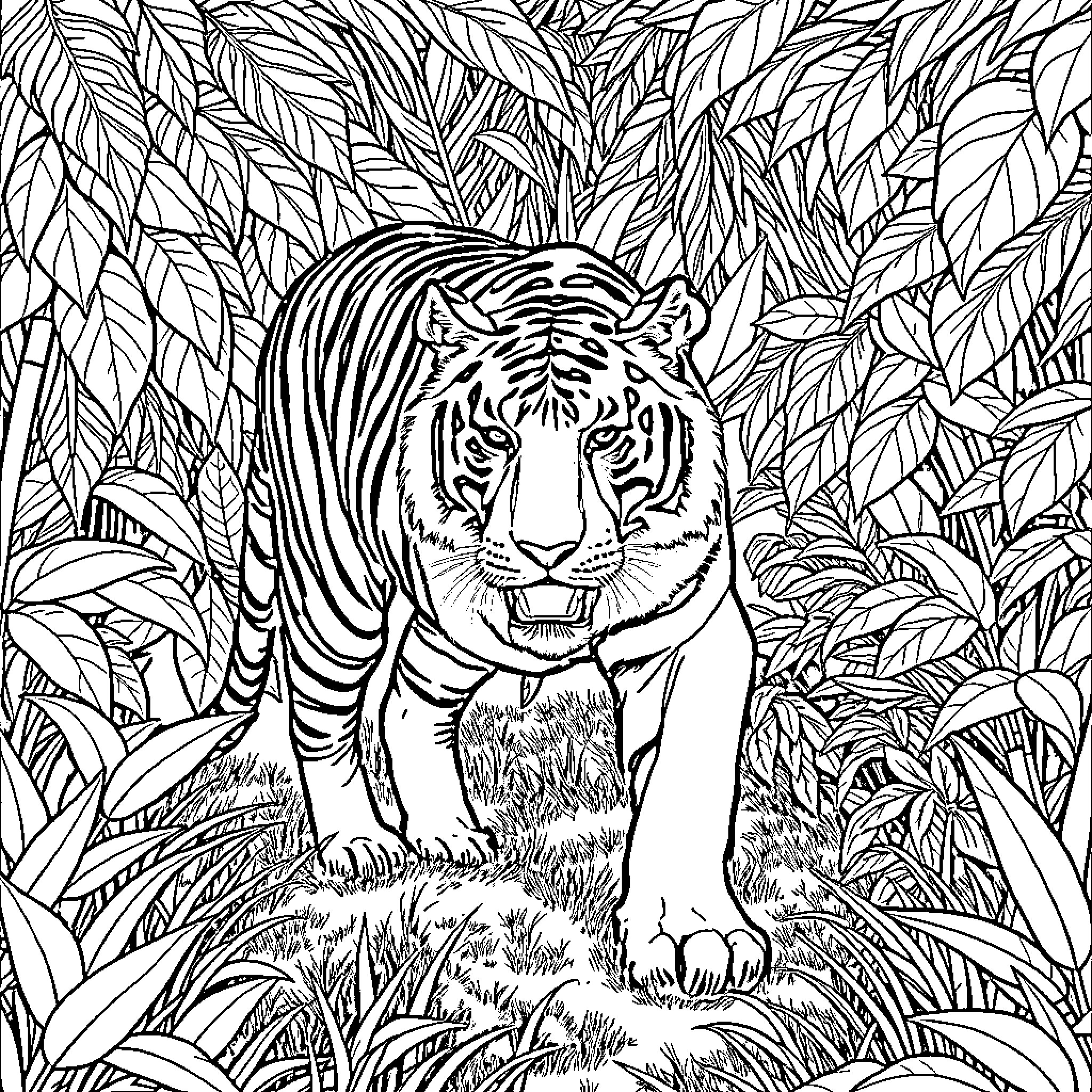 Tiger roaring through dense jungle foliage Coloring Page (free black-and-white line drawing printable PDF for all, from beginners to advanced learners, including children, teens, adults, and seniors)