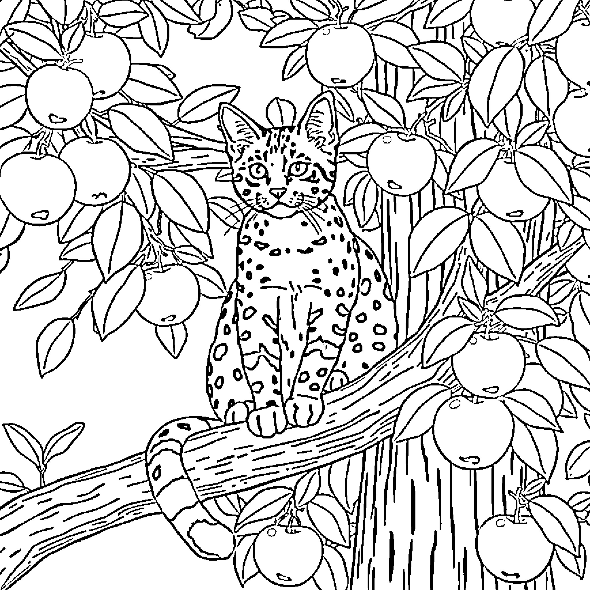 Bengal Cat Hiding in an Apple Tree Coloring Page (free black-and-white line drawing printable PDF for all, from beginners to advanced learners, including children, teens, adults, and seniors)