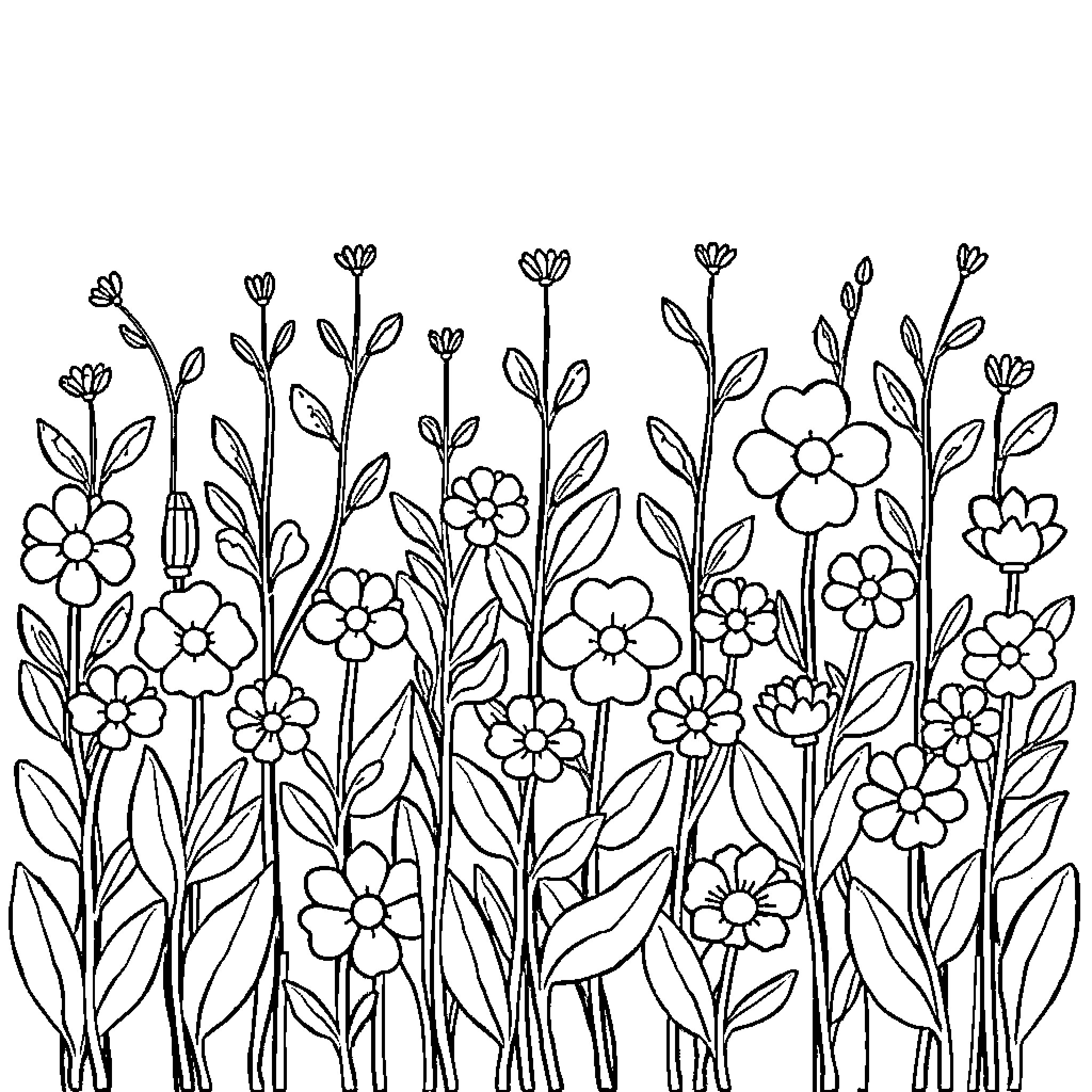 Flower Border with Blossoming Flowers Coloring Page (free black-and-white line drawing printable PDF for all, from beginners to advanced learners, including children, teens, adults, and seniors)