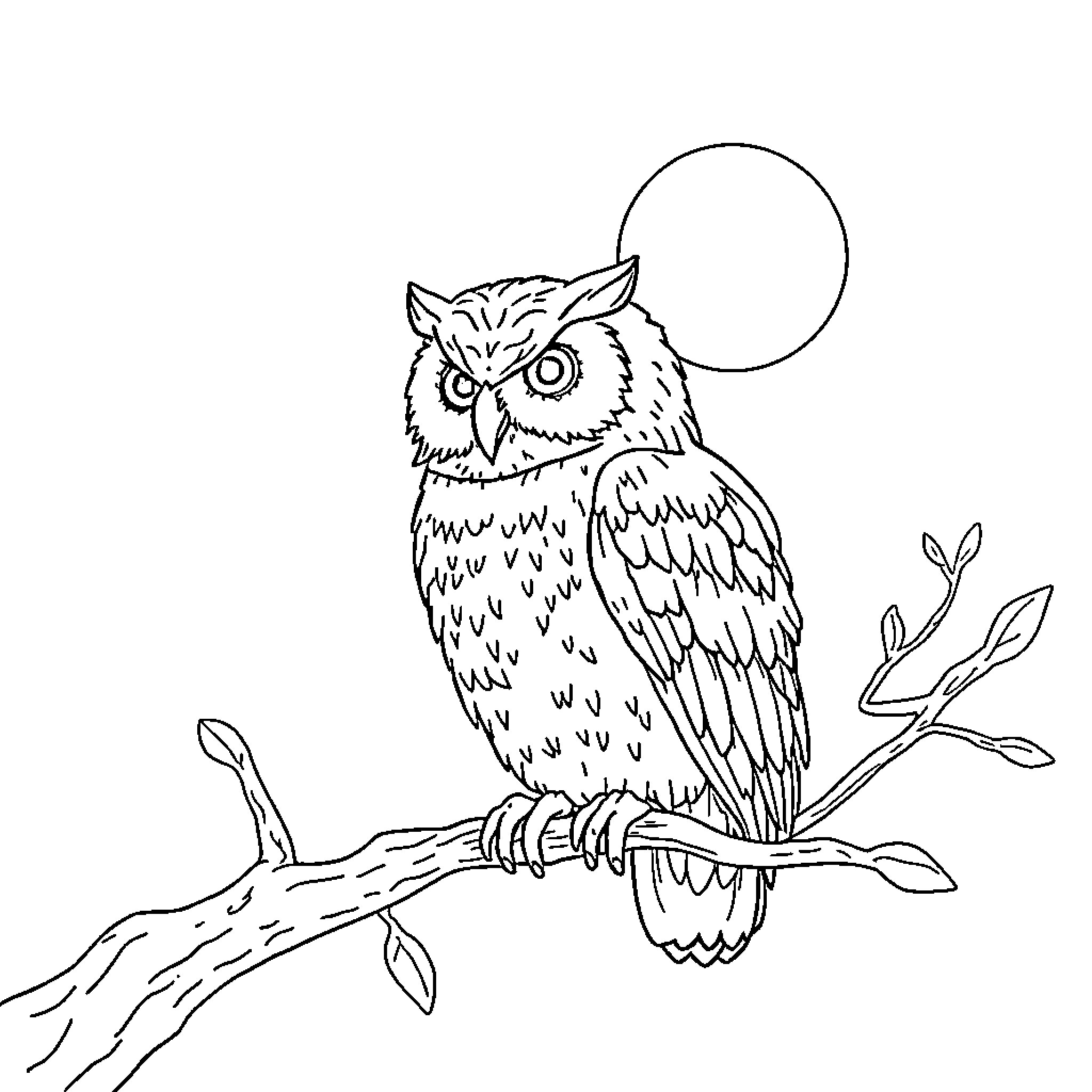 Owl perched on a tree branch under the moonlight Coloring Page (free black-and-white line drawing printable PDF for all, from beginners to advanced learners, including children, teens, adults, and seniors)