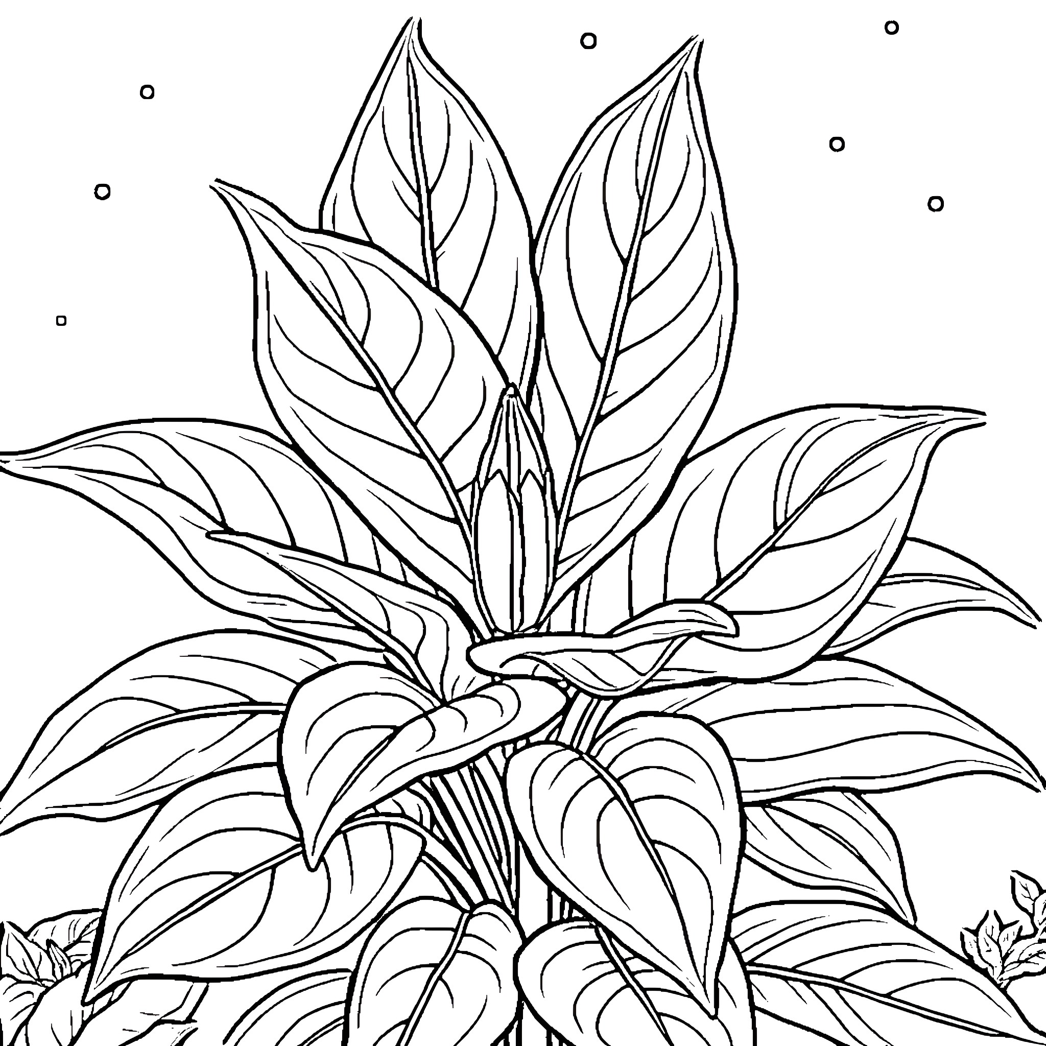 Prayer Plant in Elegant Floral Arrangement Coloring Page (free black-and-white line drawing printable PDF for all, from beginners to advanced learners, including children, teens, adults, and seniors)